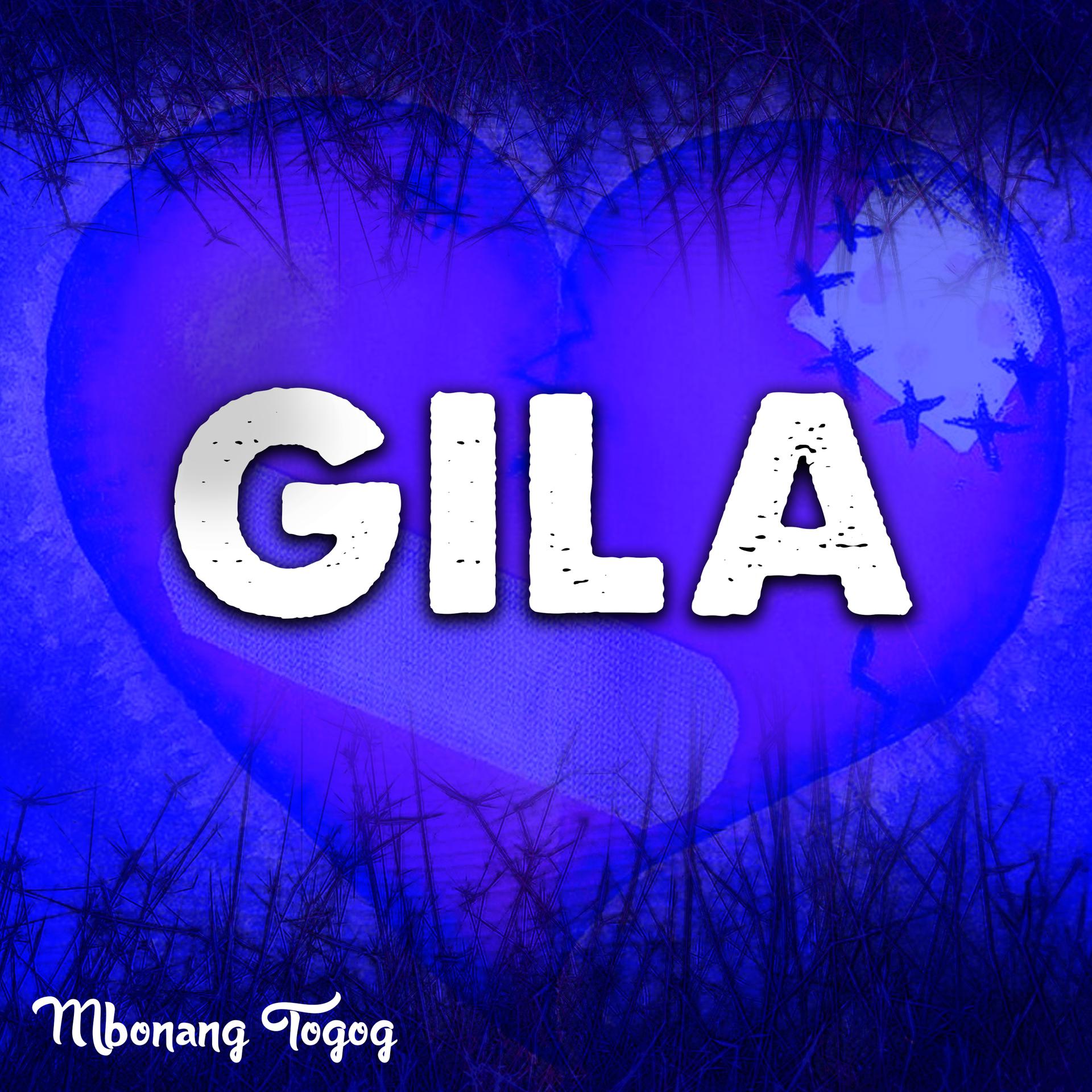 Постер альбома Gila