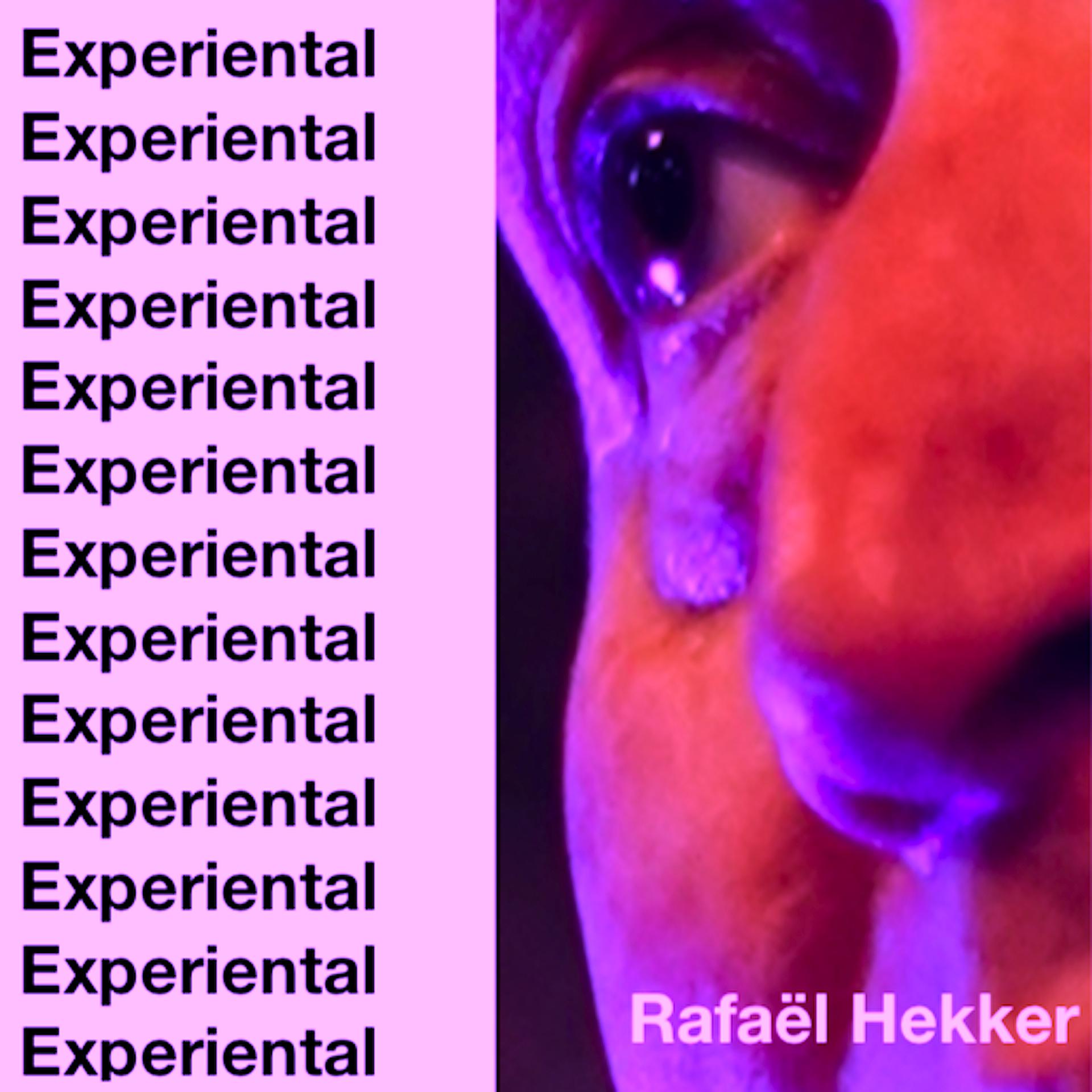 Постер альбома Experiental