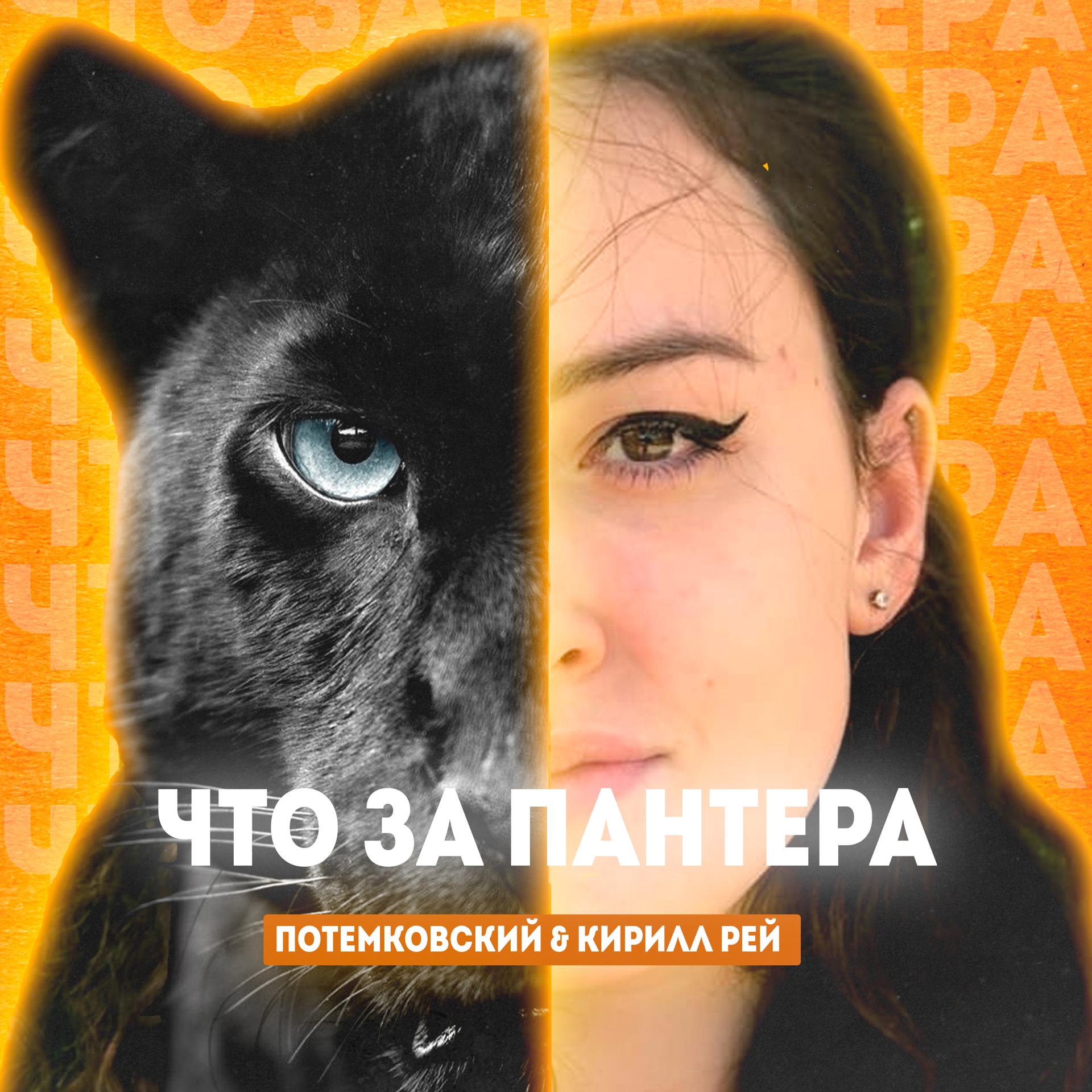 Постер альбома Что за пантера