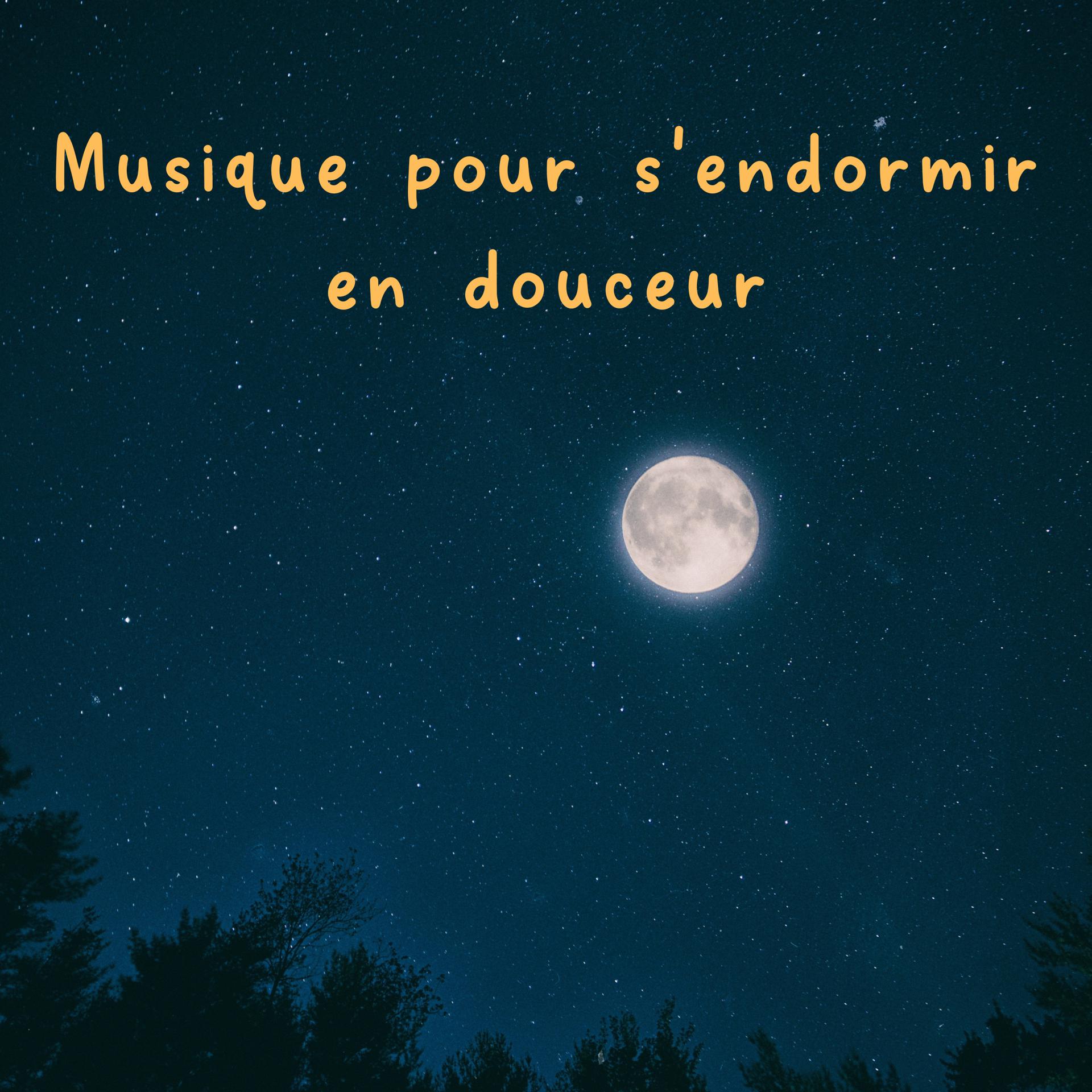 Постер альбома Musique pour s'endormir en douceur
