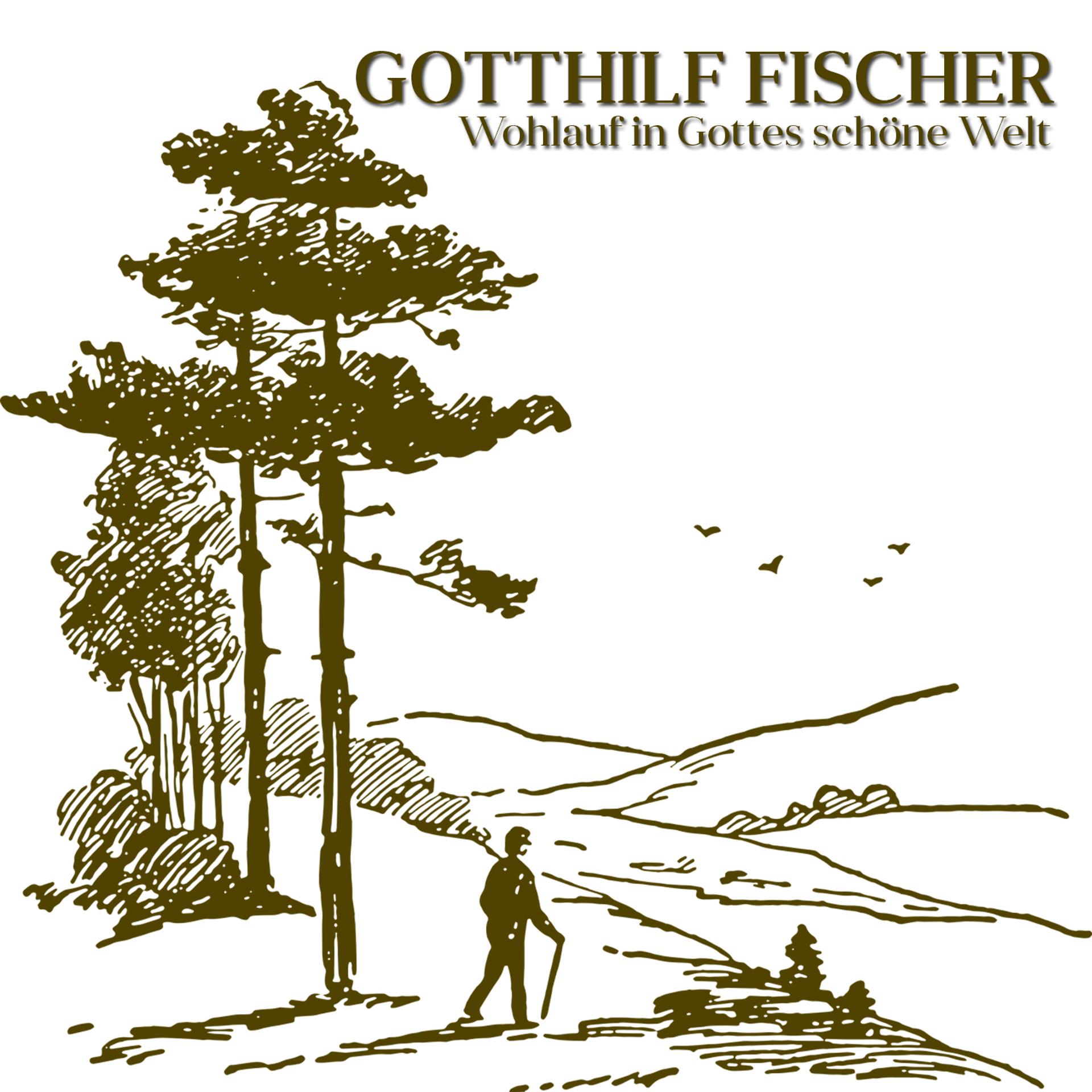 Постер альбома Wohlauf in Gottes schöne Welt
