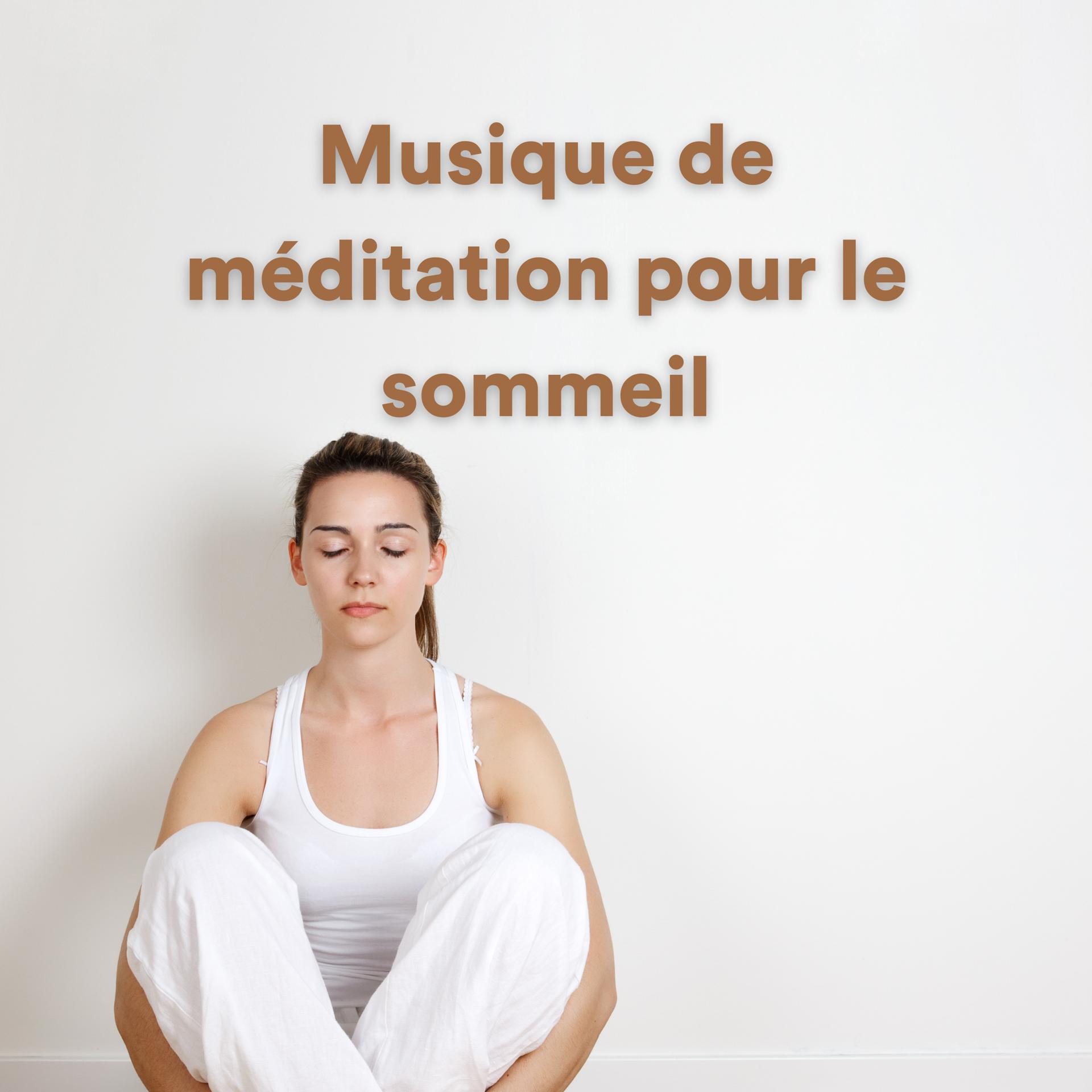 Постер альбома Musique de méditation pour le sommeil
