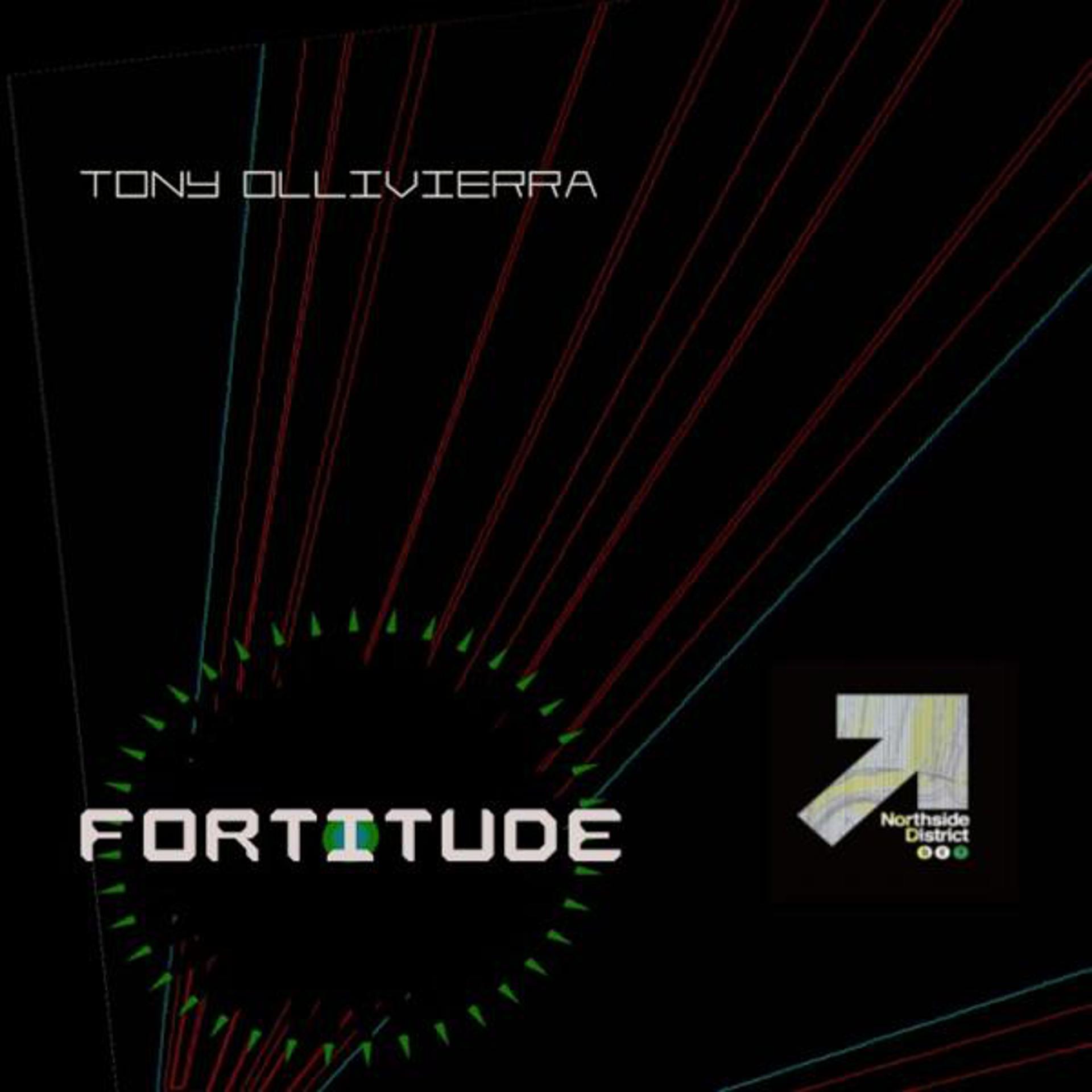 Постер альбома Fortitude