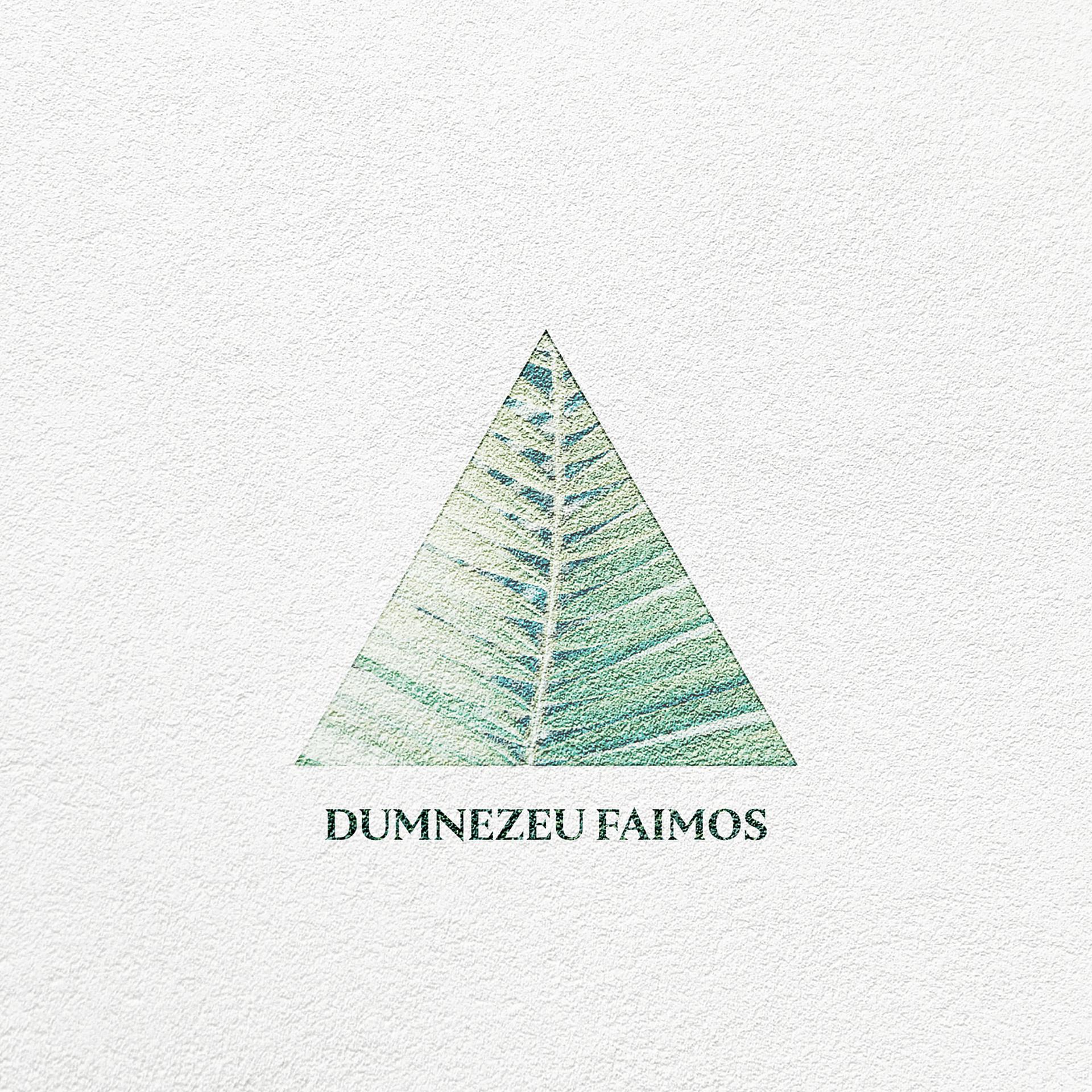 Постер альбома Dumnezeu Faimos