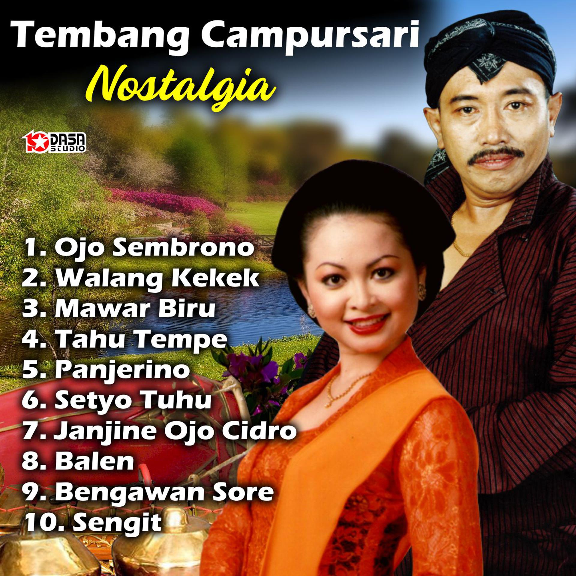 Постер альбома Tembang Campursari Nostalgia