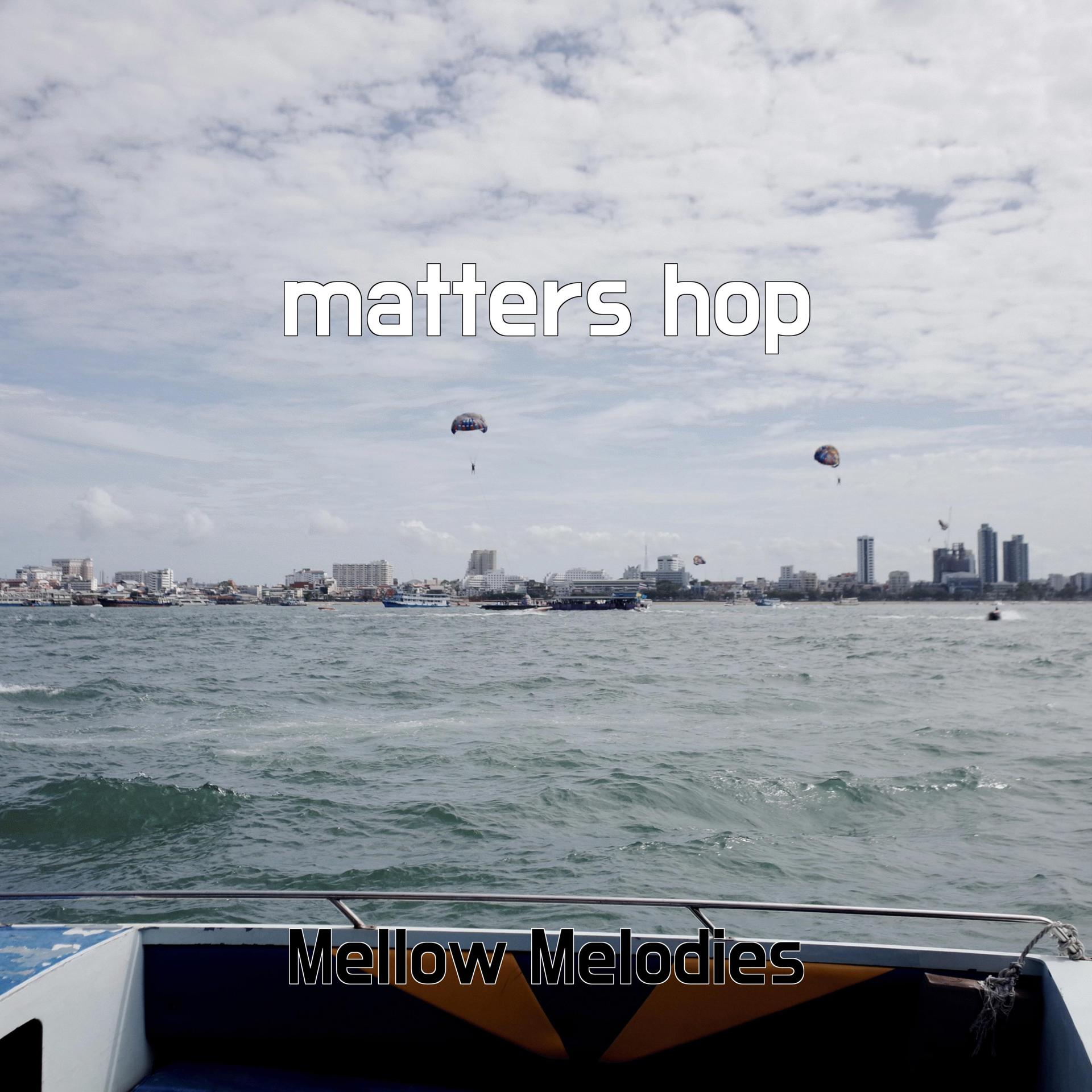 Постер альбома matters hop