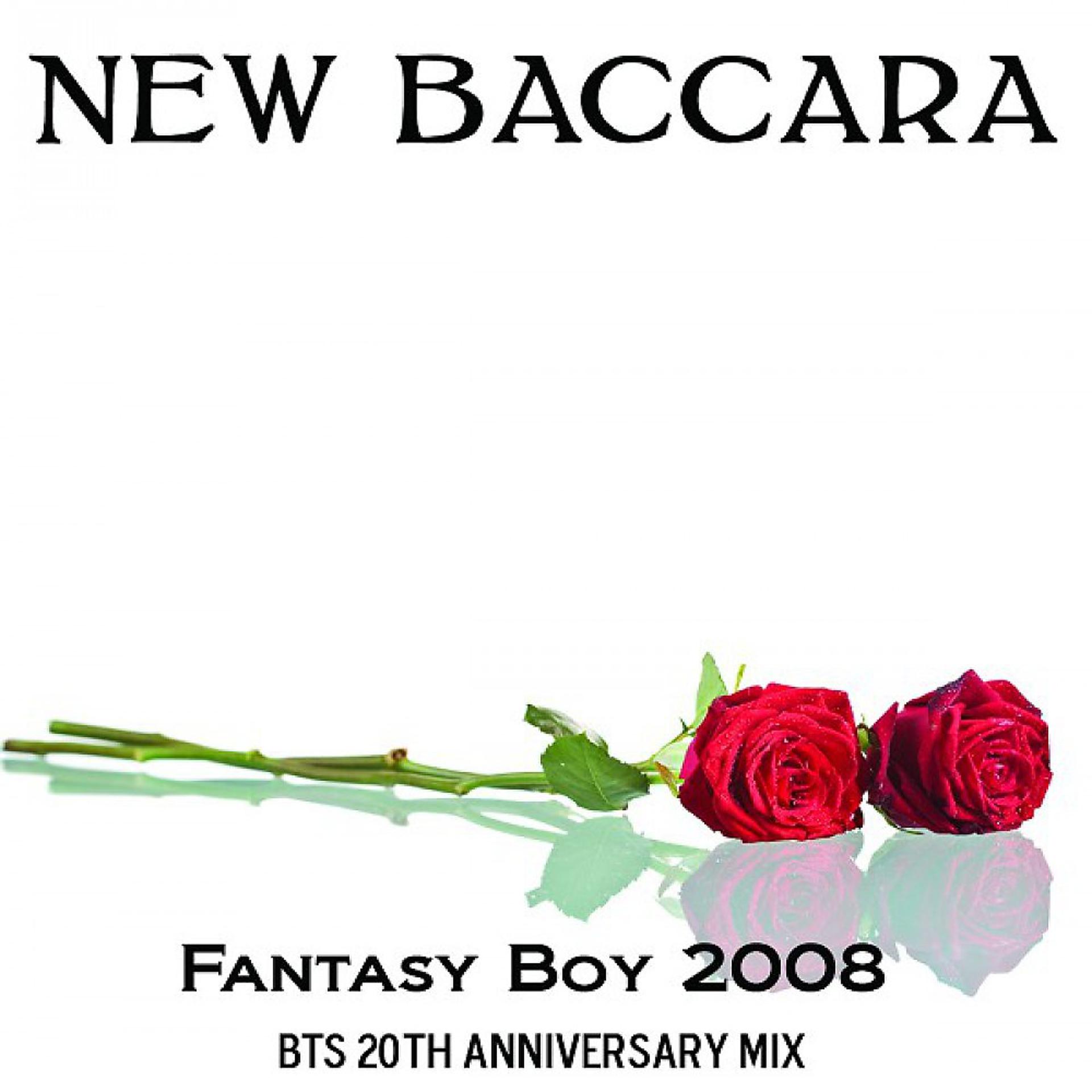 Постер альбома Fantasy Boy '08