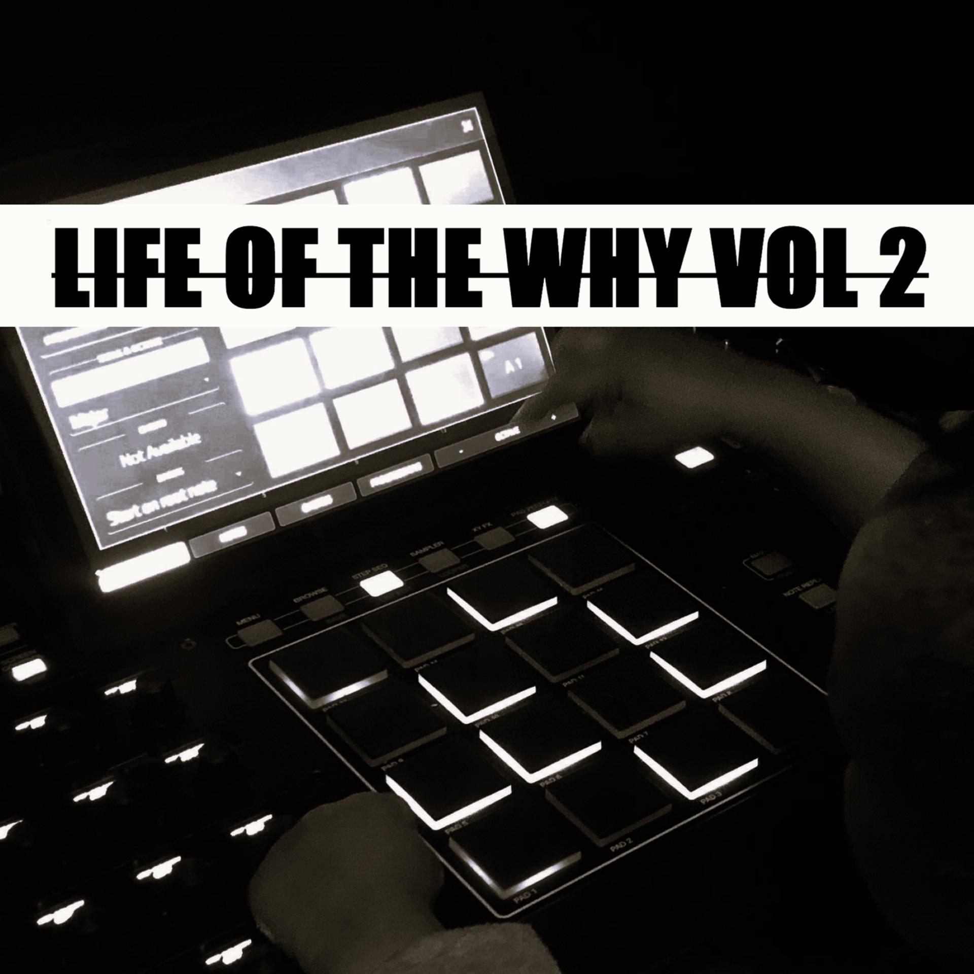 Постер альбома Life Of The Why Vol 2