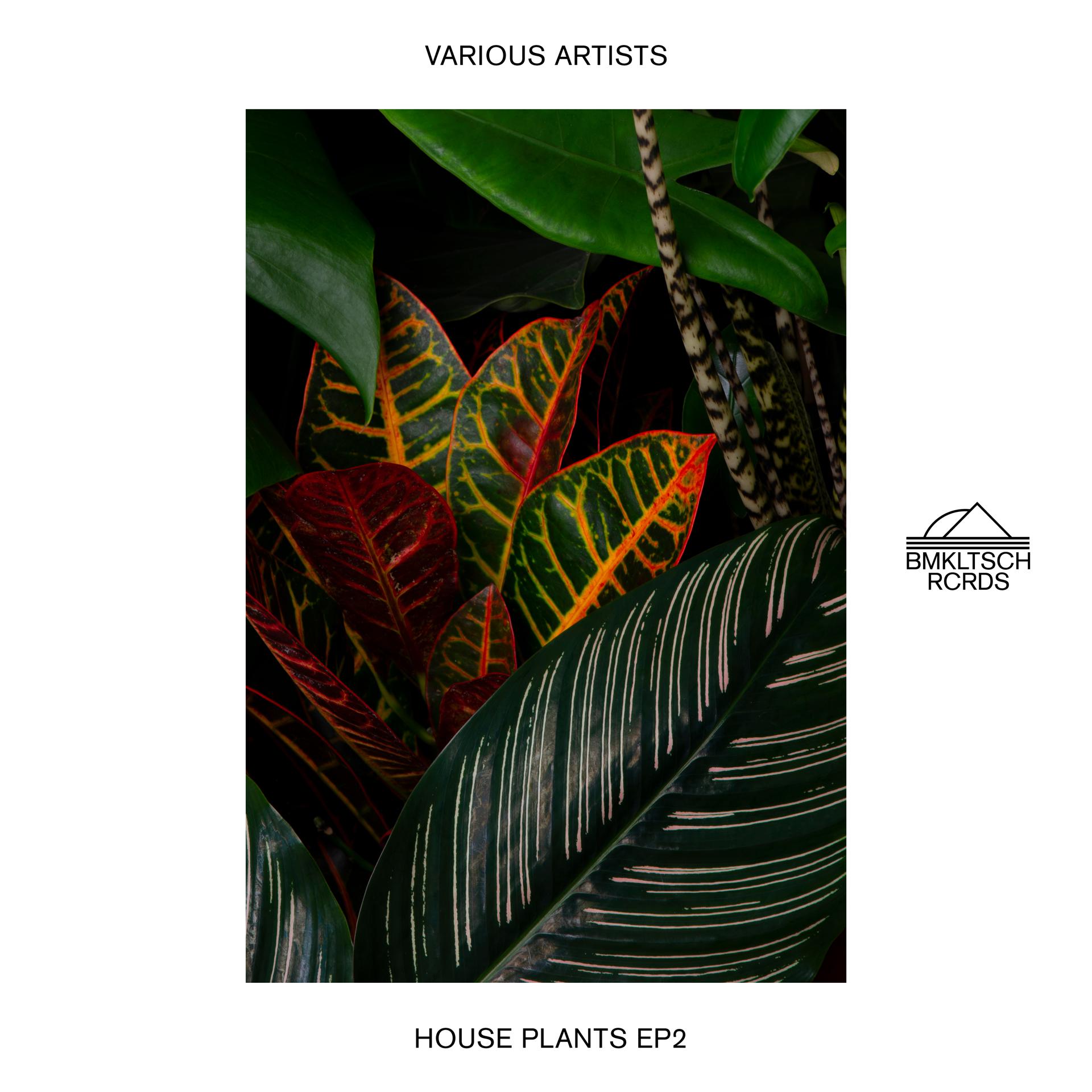 Постер альбома House Plants 2 - EP