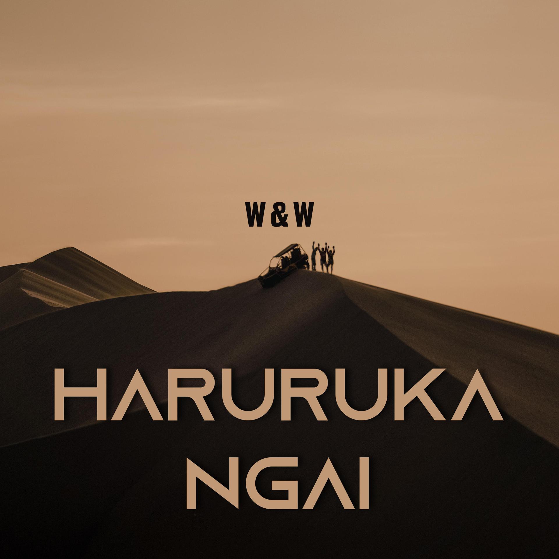 Постер альбома Haruruka Ngai
