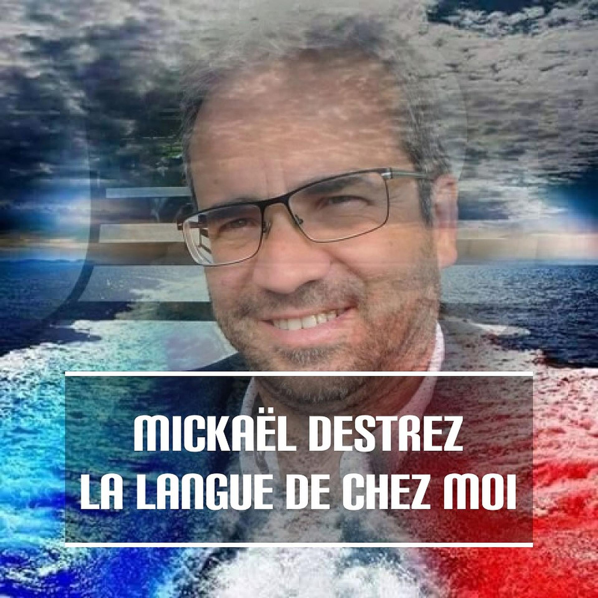 Постер альбома La langue de chez moi