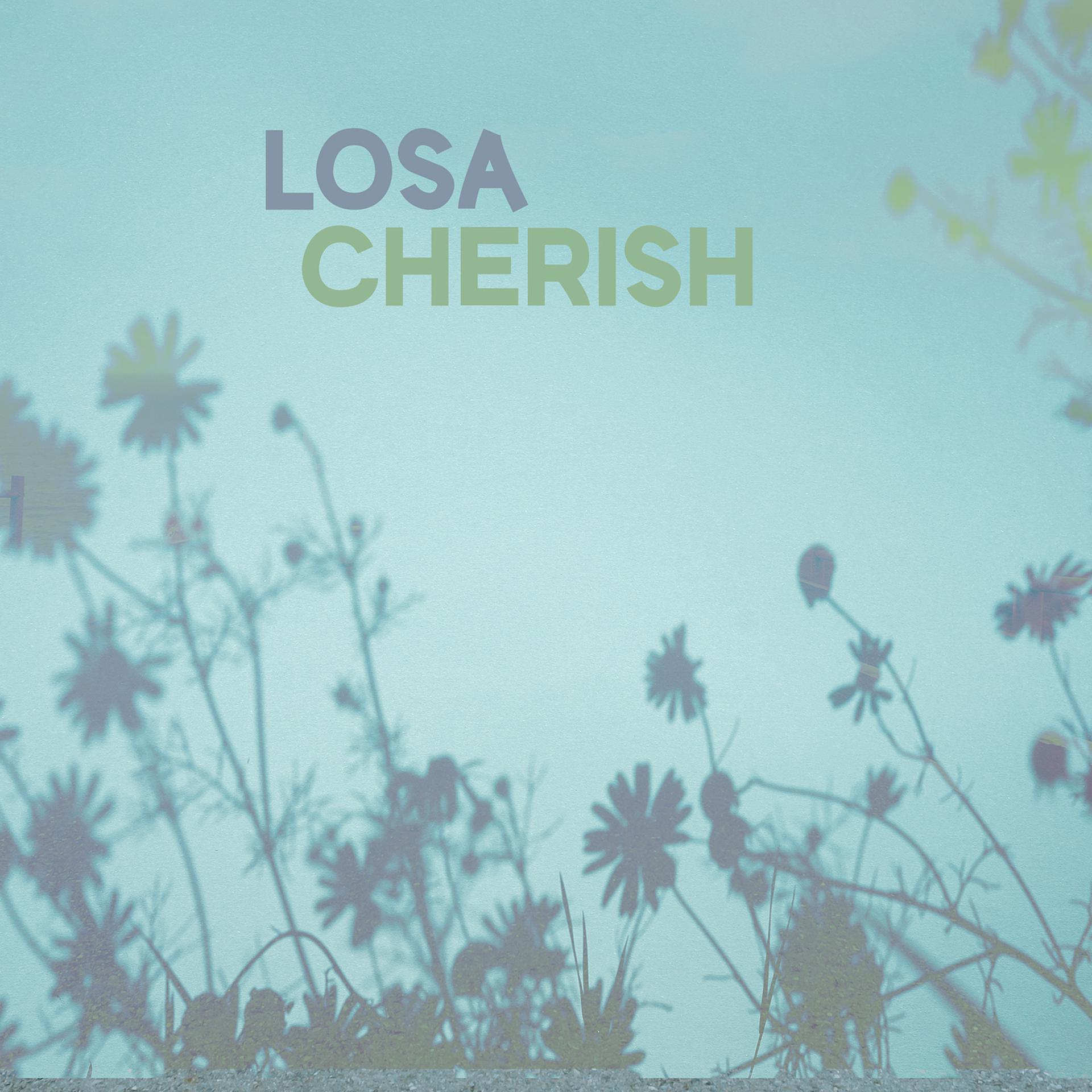 Постер альбома Cherish