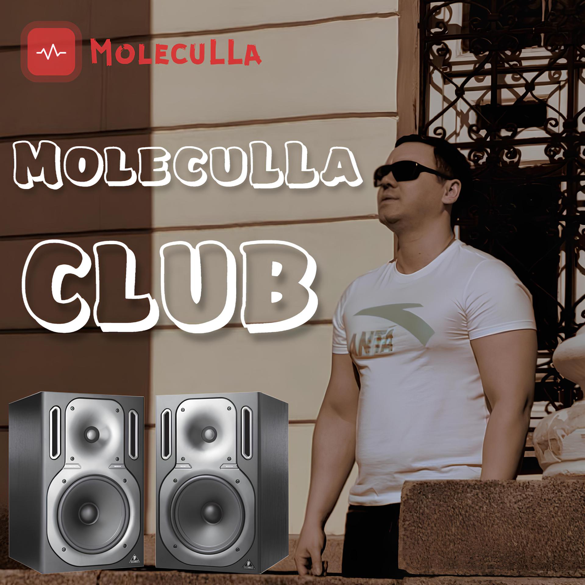 Постер альбома Moleculla Club