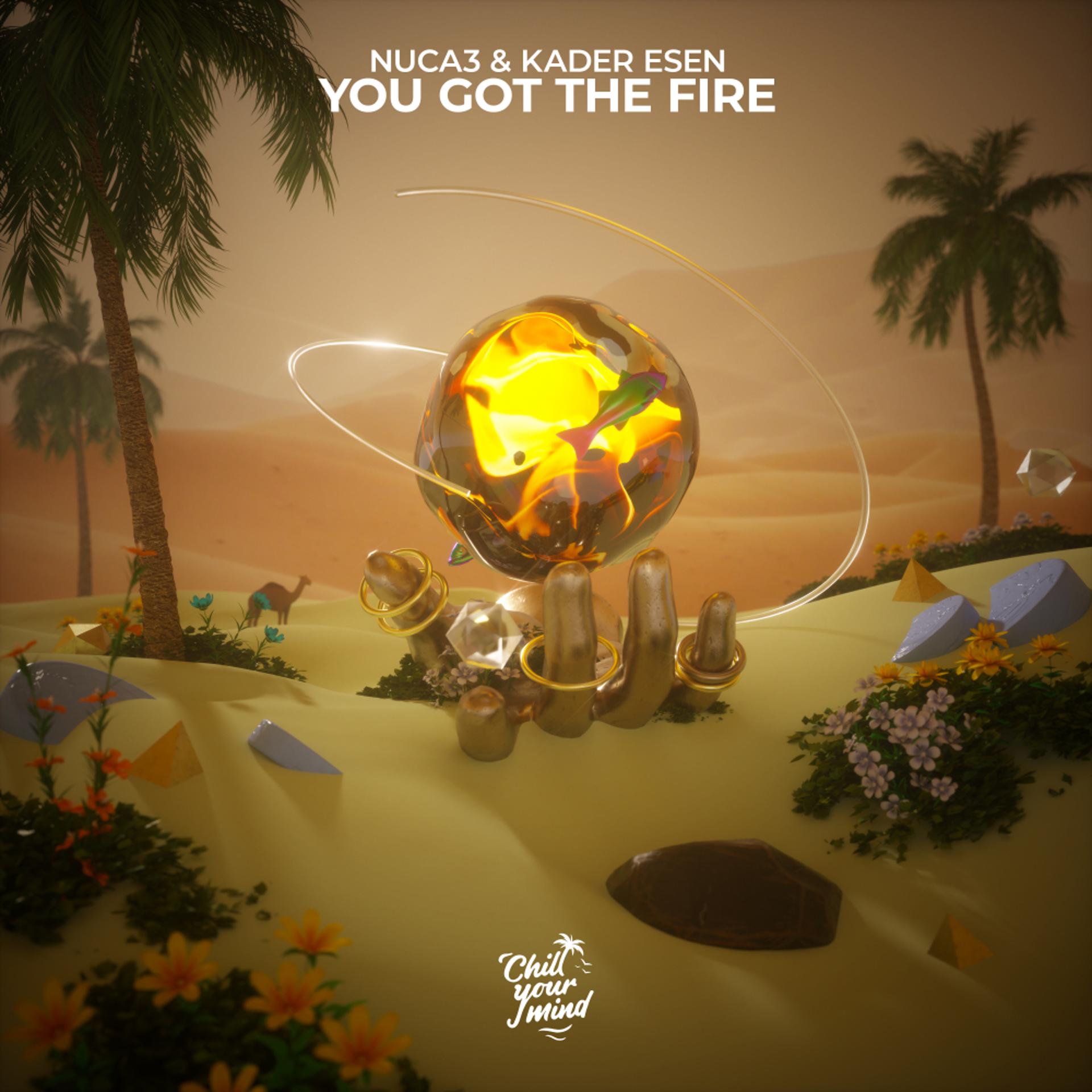 Постер альбома You Got the Fire