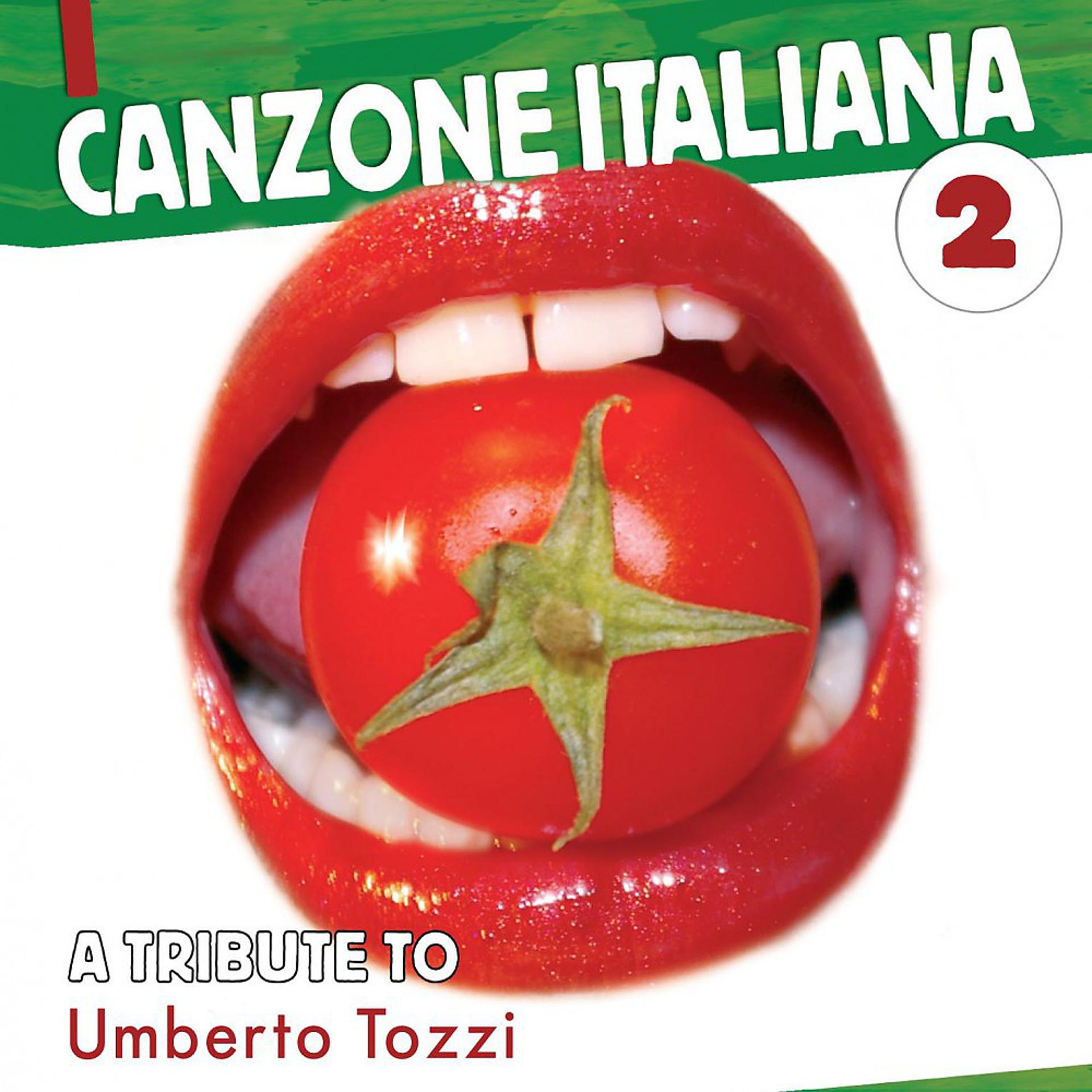 Постер альбома Canzone Italiana Vol. 2 (Coverversions)