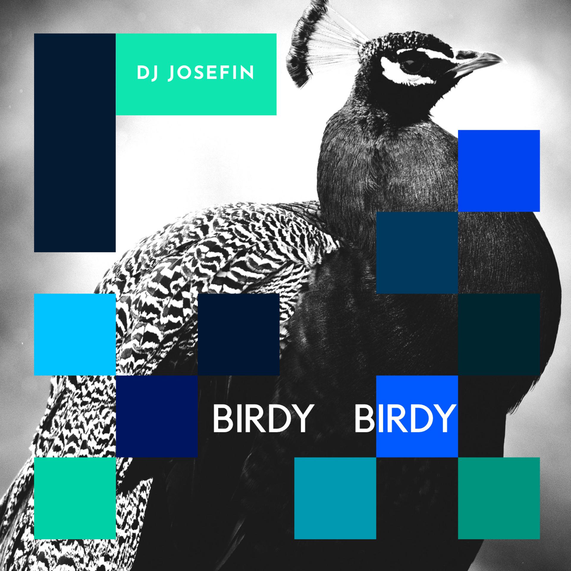 Постер альбома Birdy Birdy