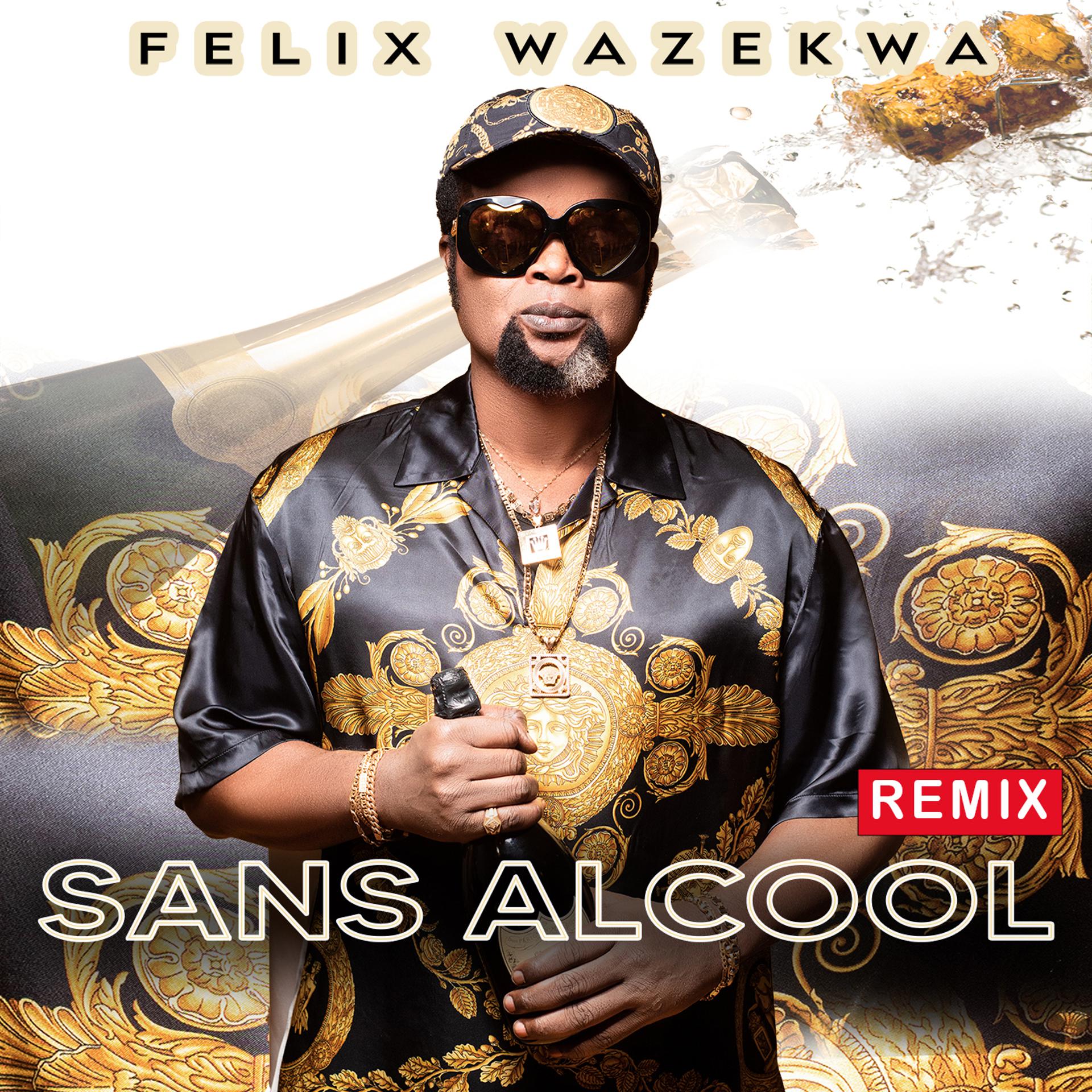 Постер альбома Sans Alcool