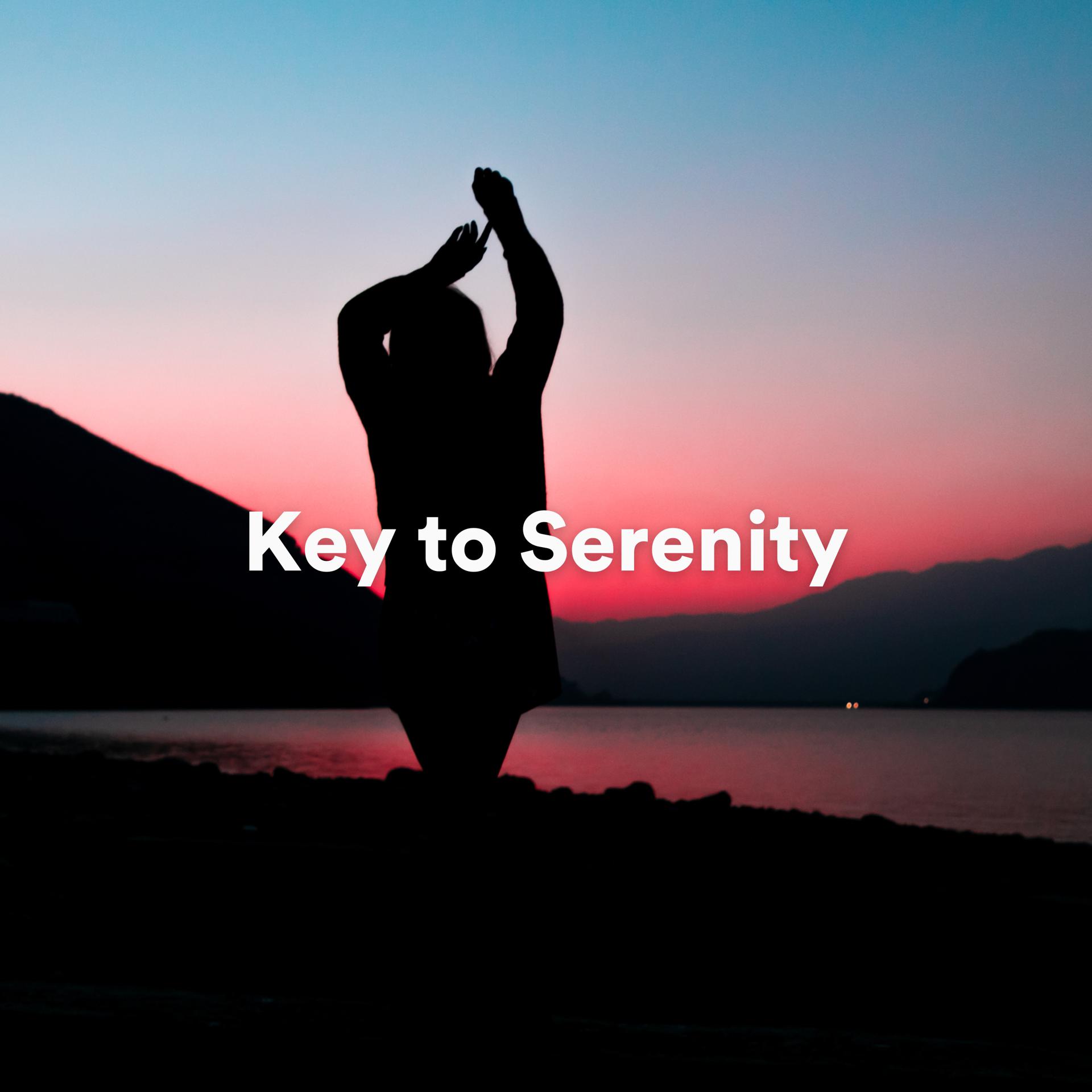 Постер альбома Key to Serenity