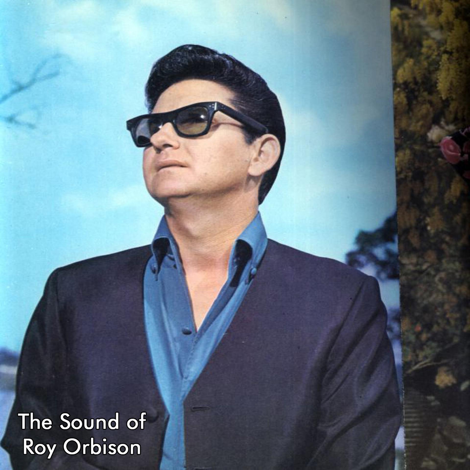 Постер альбома The Sound of Roy Orbison