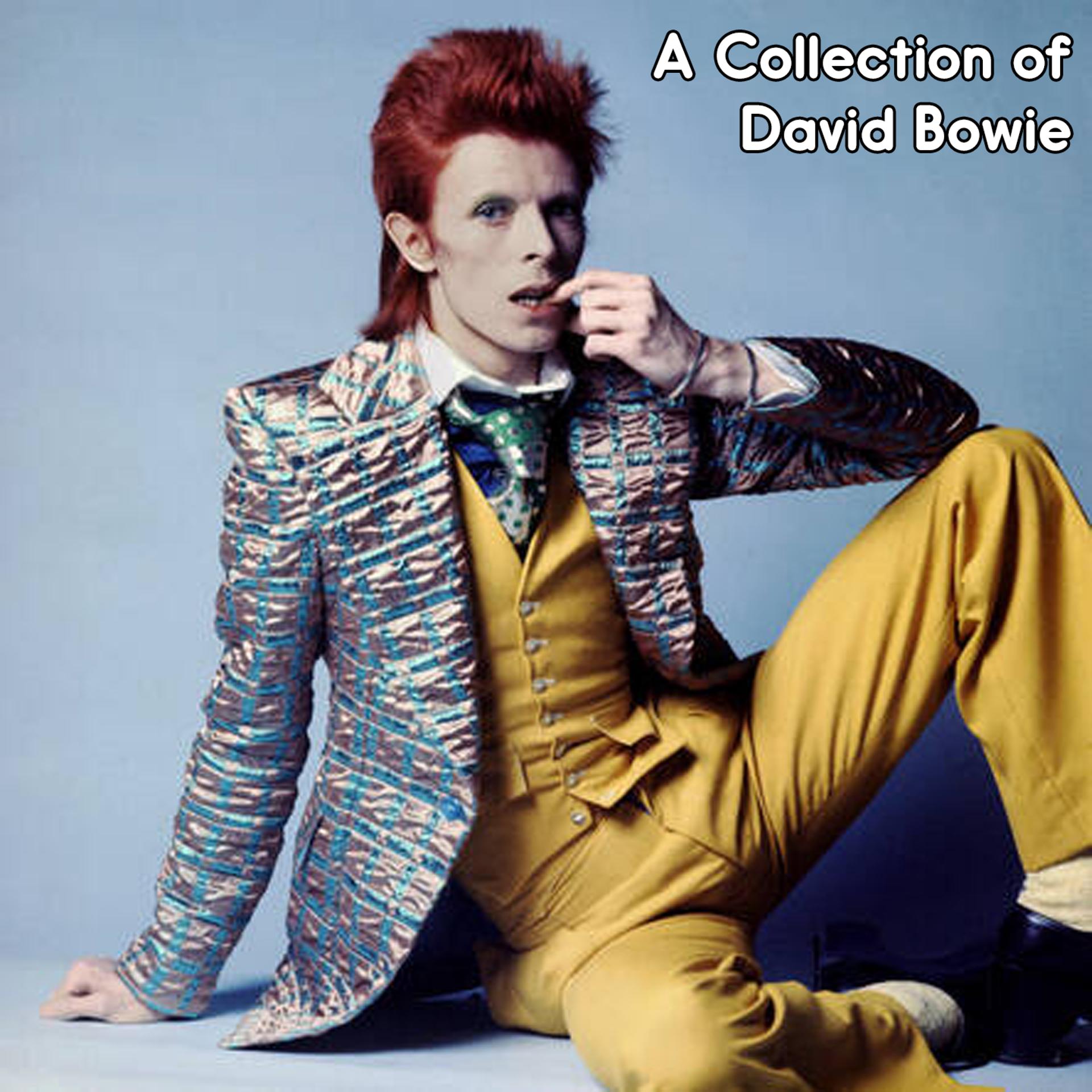 Постер альбома A Collection of David Bowie
