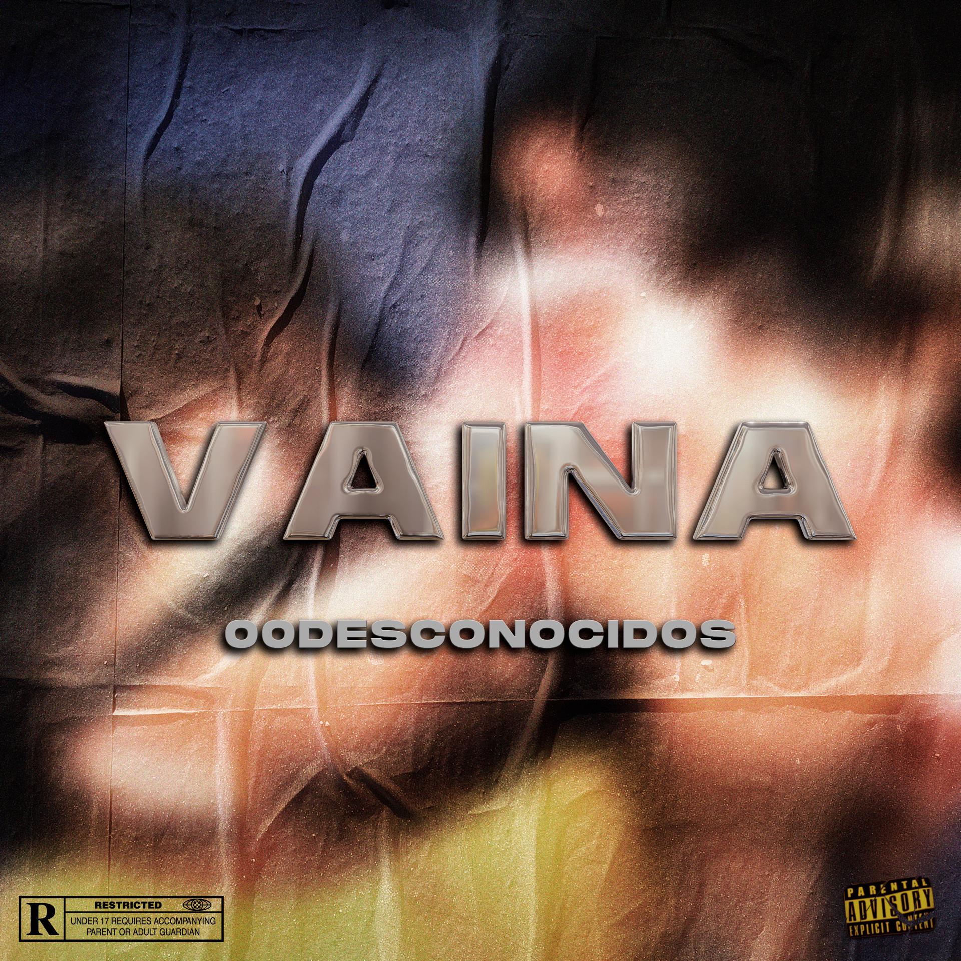 Постер альбома Vaina