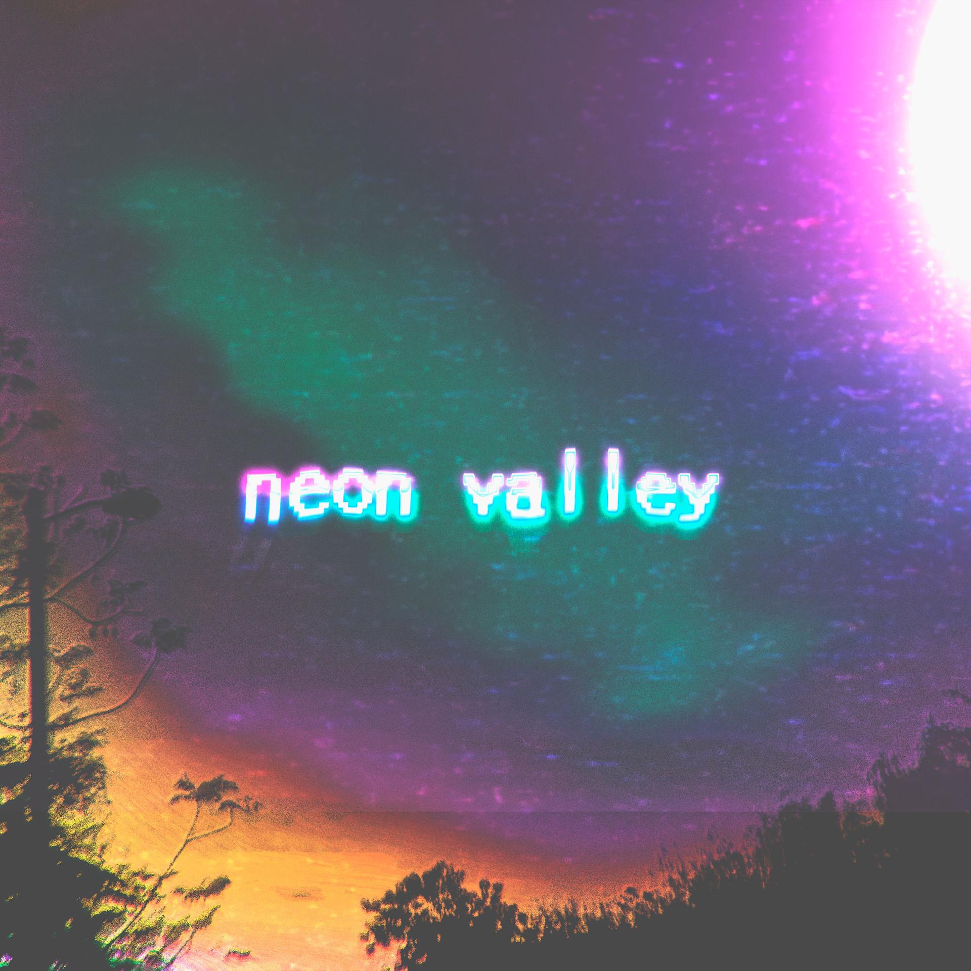 Постер альбома neon valley