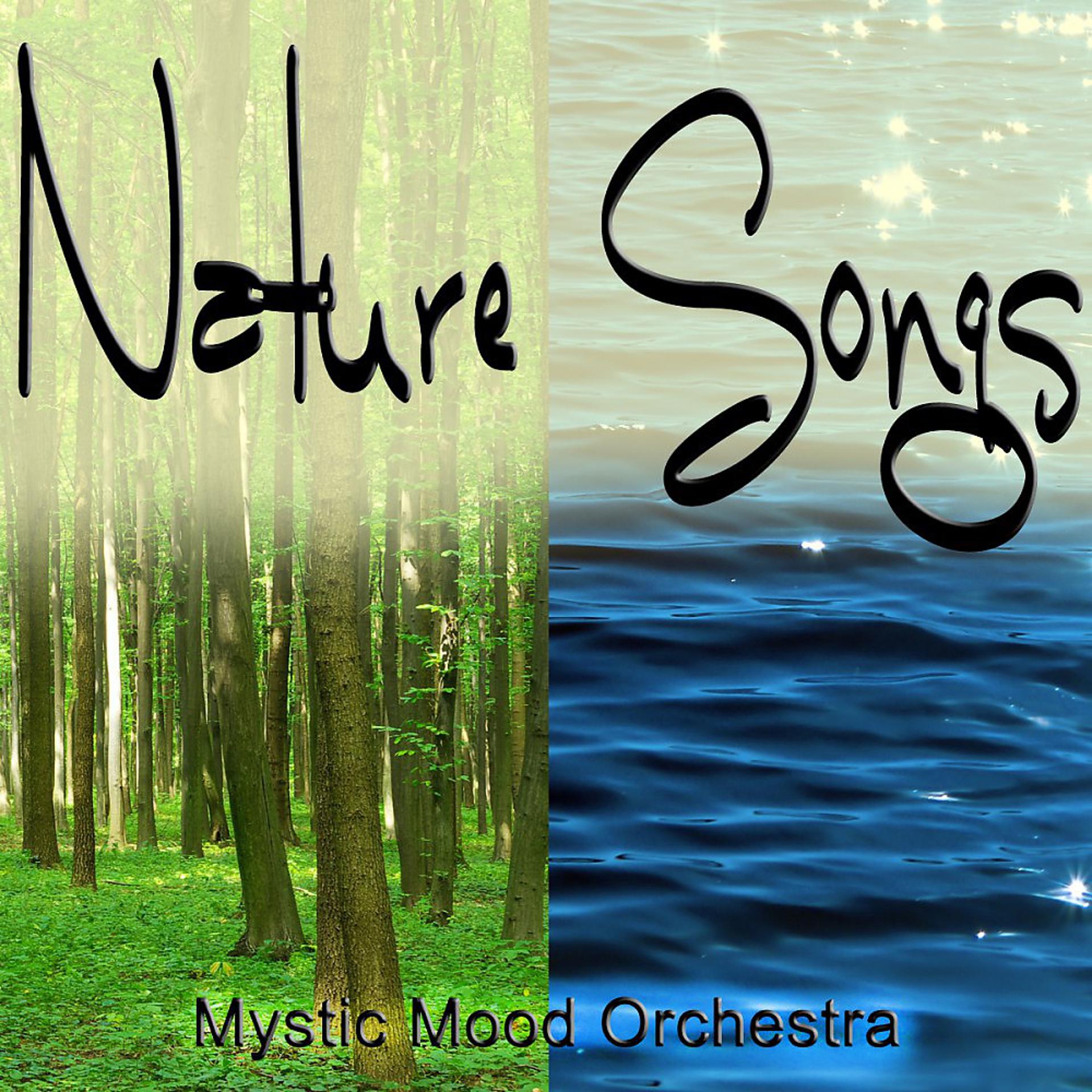 Постер альбома Nature Songs