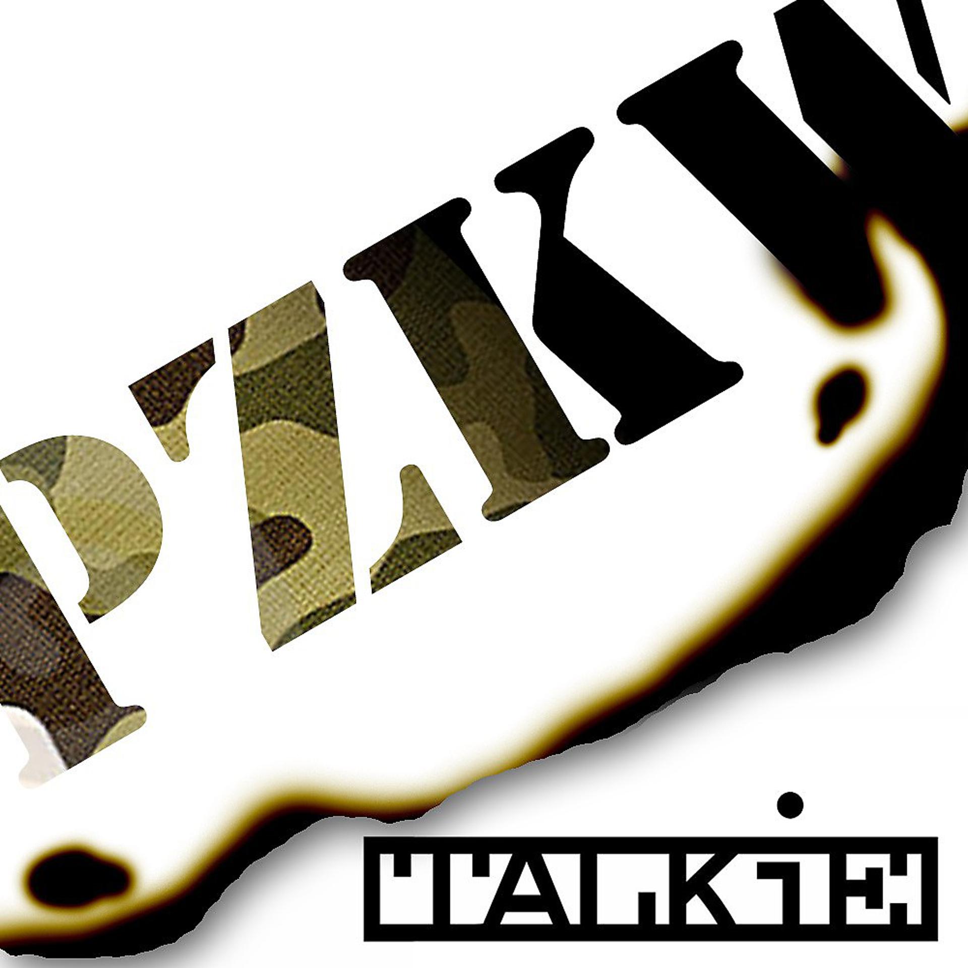 Постер альбома Pzkw