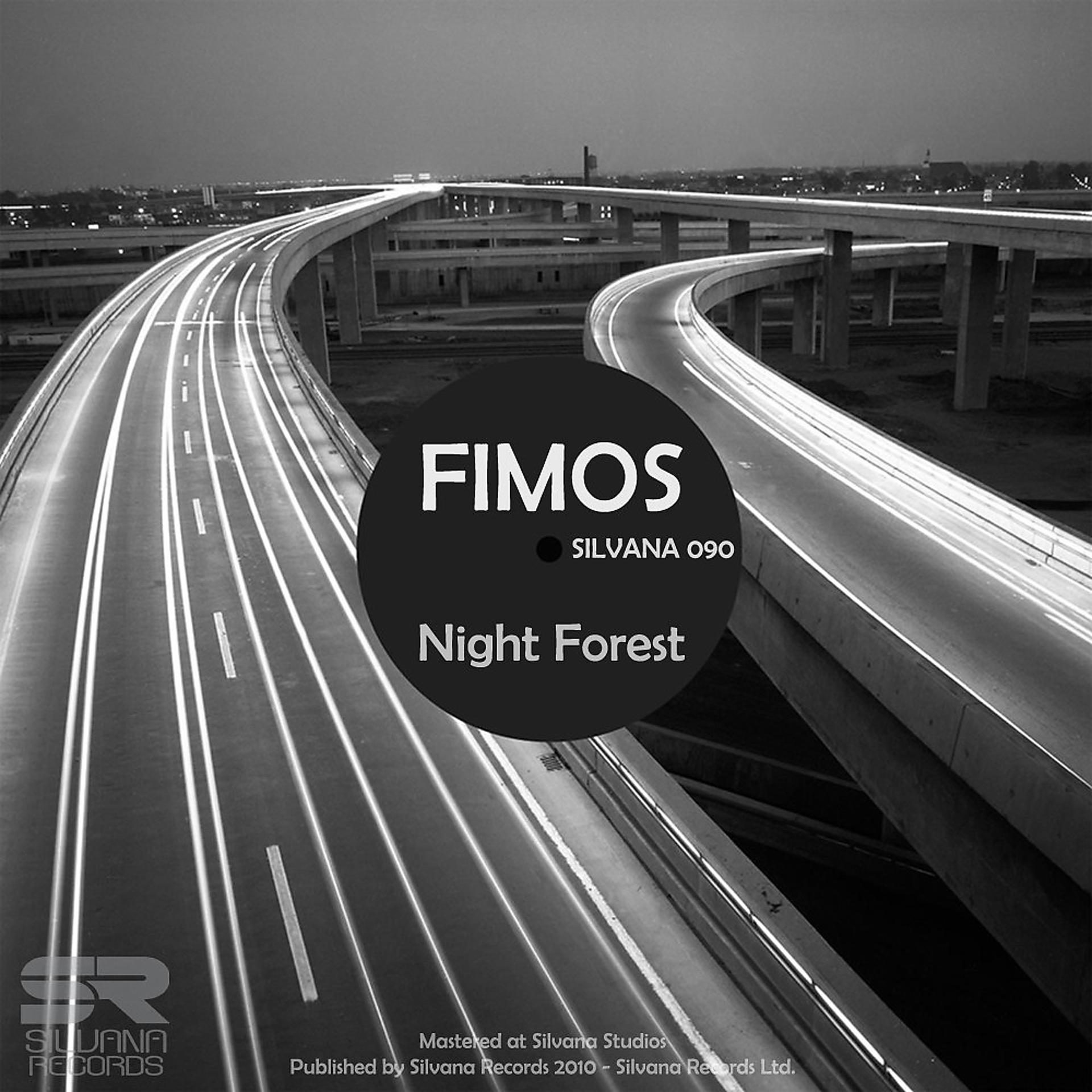 Постер альбома Night Forest