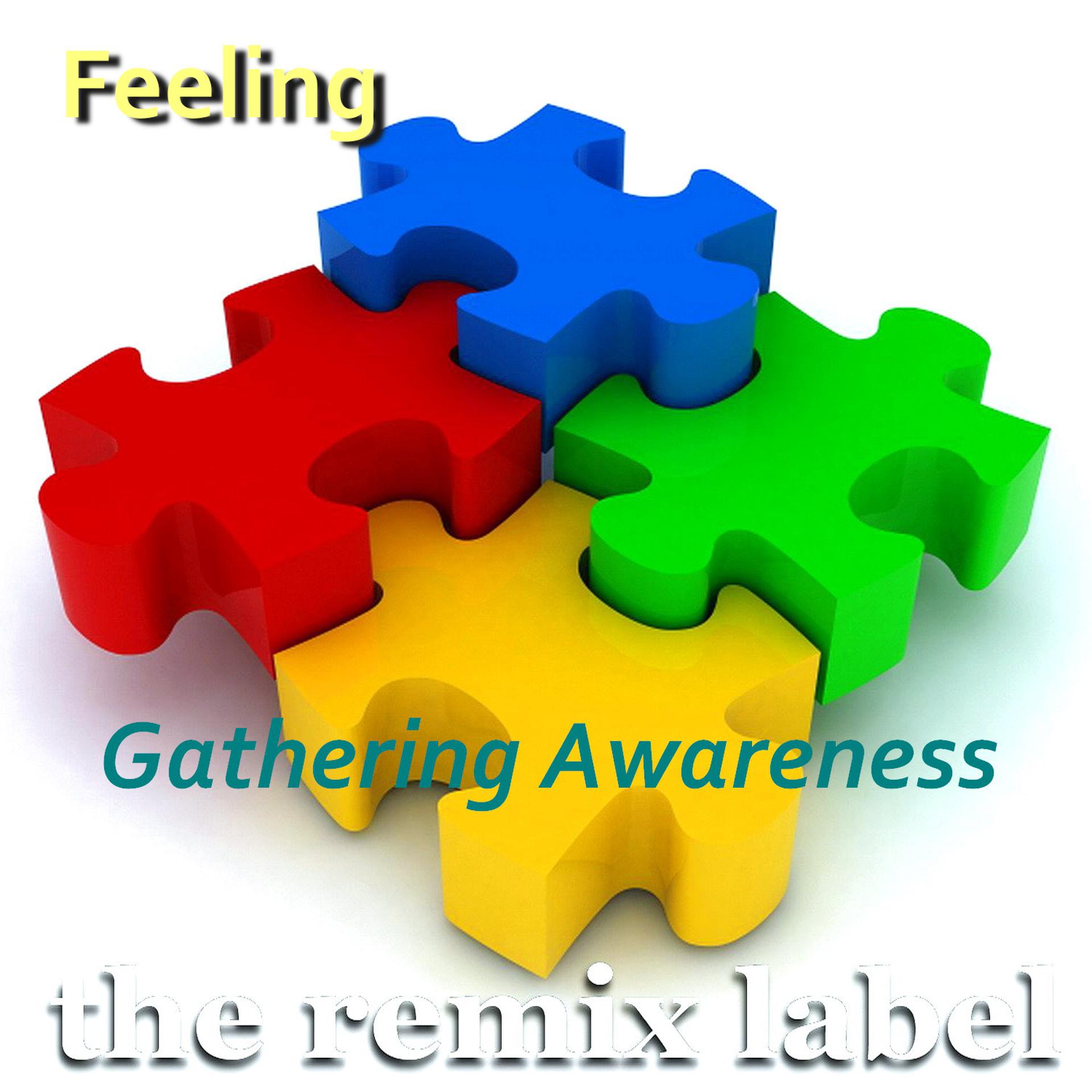 Постер альбома Gathering Awareness (Rigor Progressive House Mix)