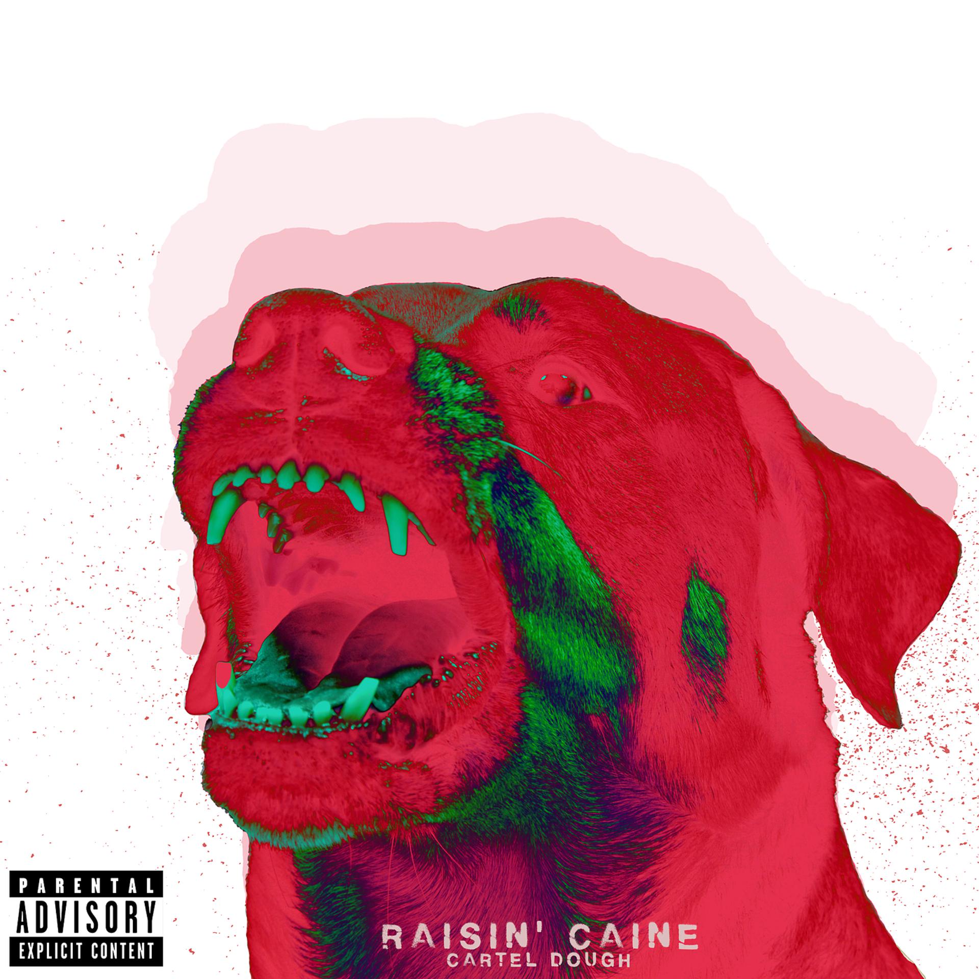 Постер альбома Raisin Caine