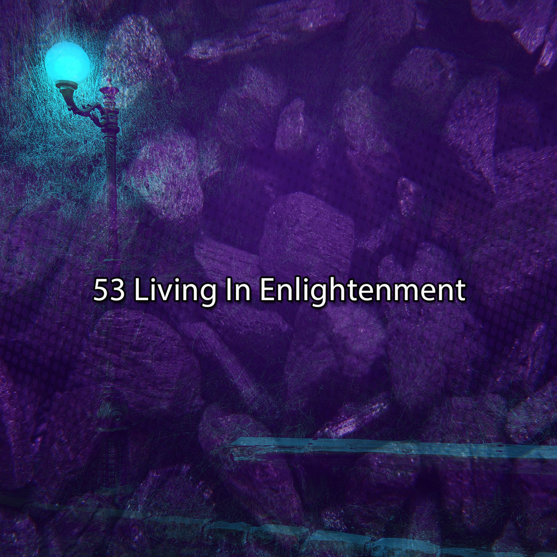 Постер альбома 53 Living In Enlightenment