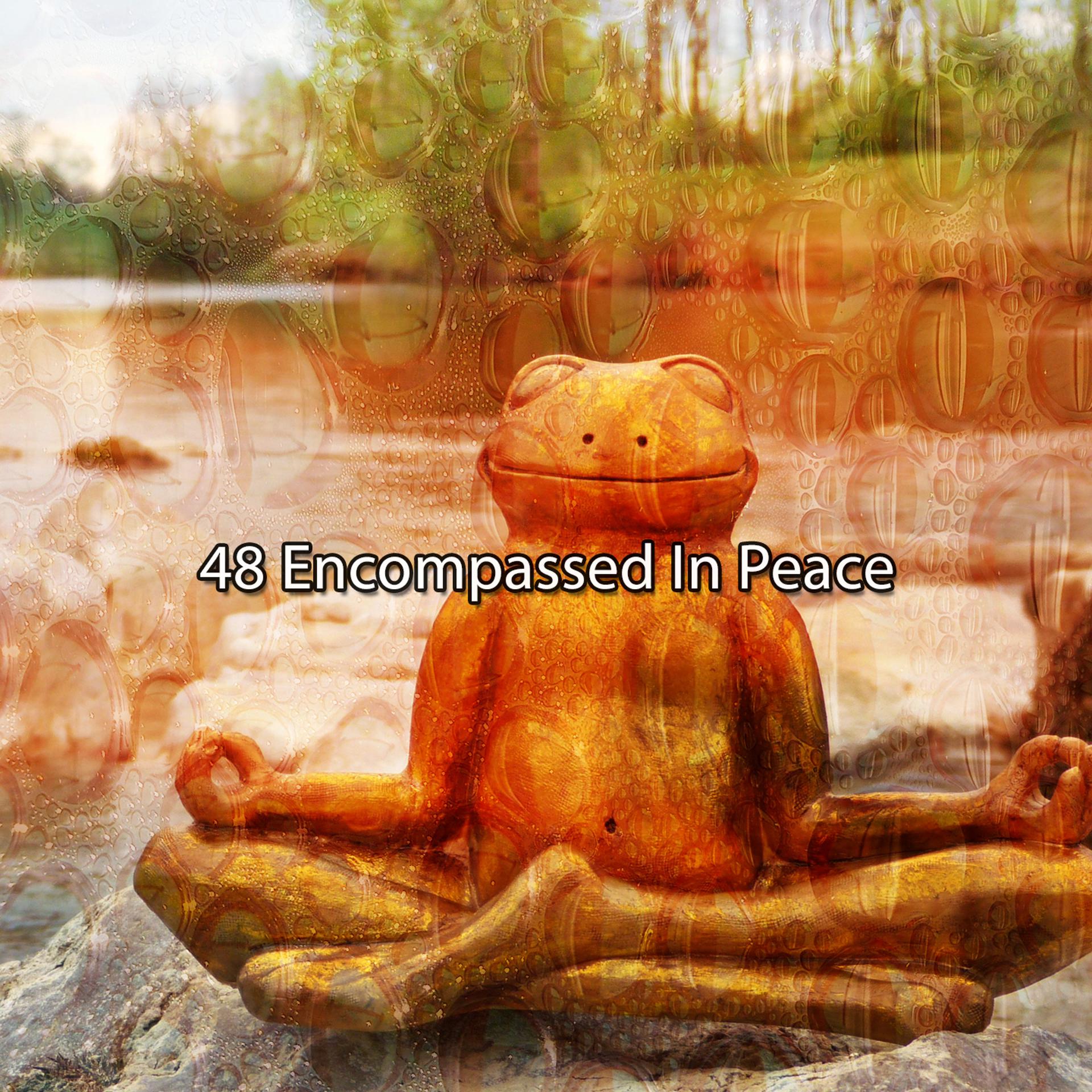 Постер альбома 48 Encompassed In Peace
