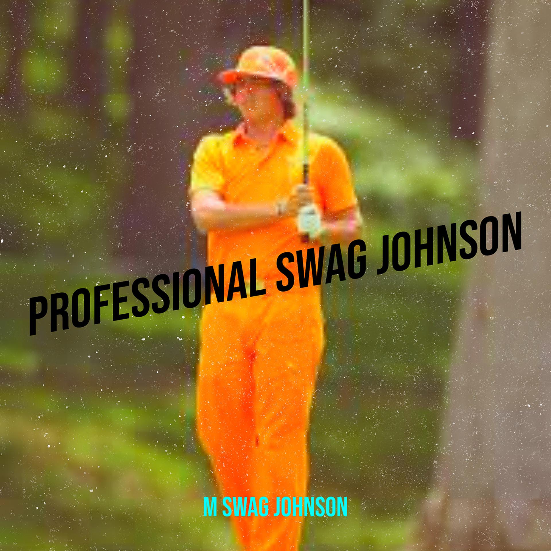 Постер альбома Professional Swag Johnson
