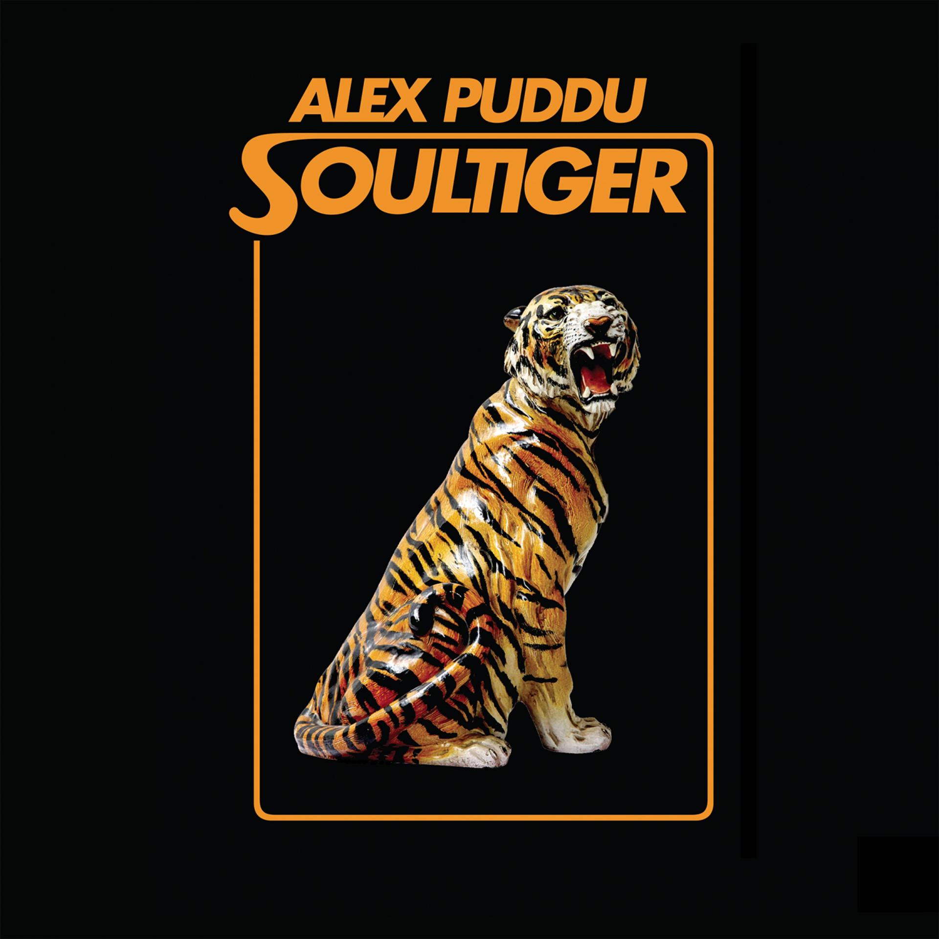 Постер альбома Soultiger