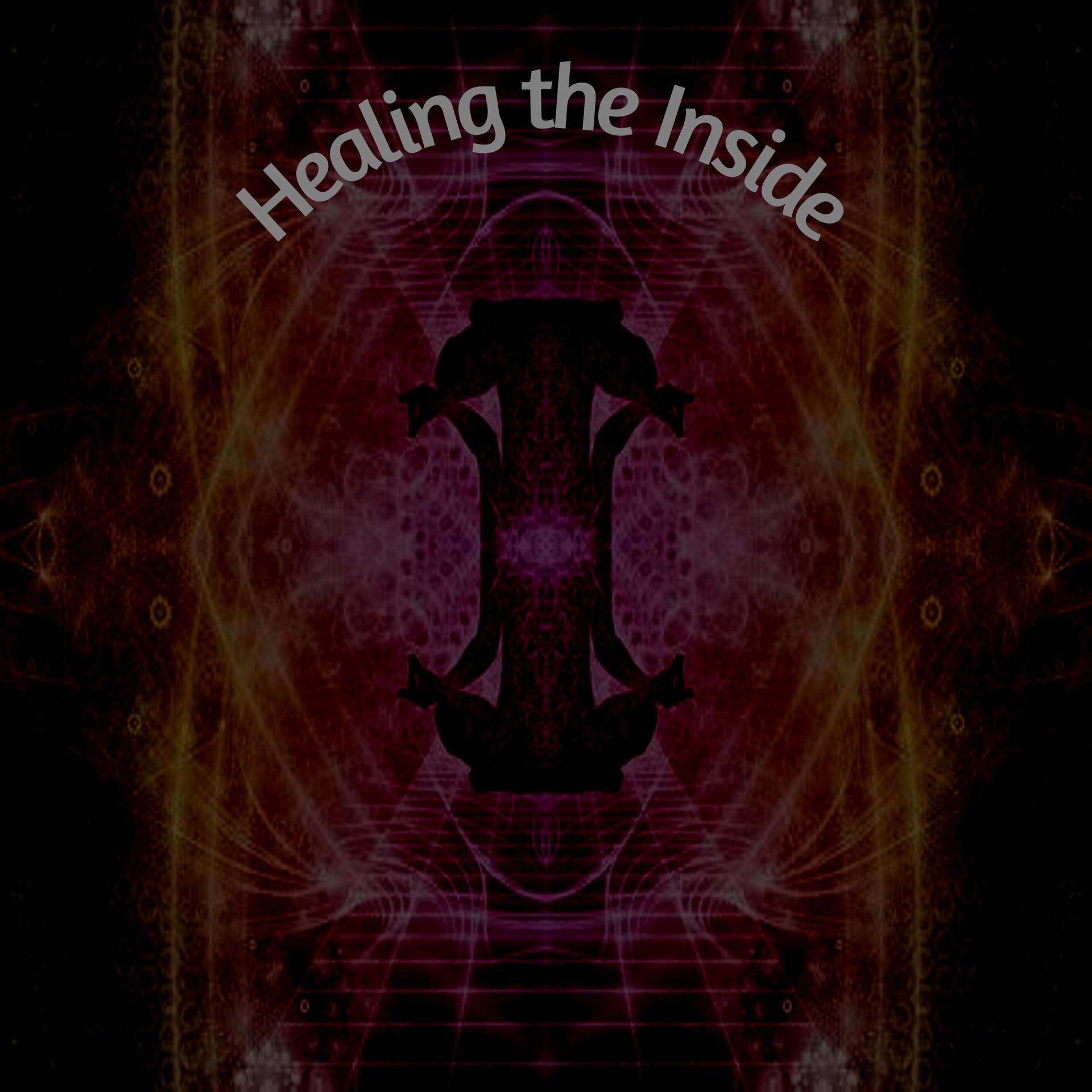 Постер альбома Healing the Inside