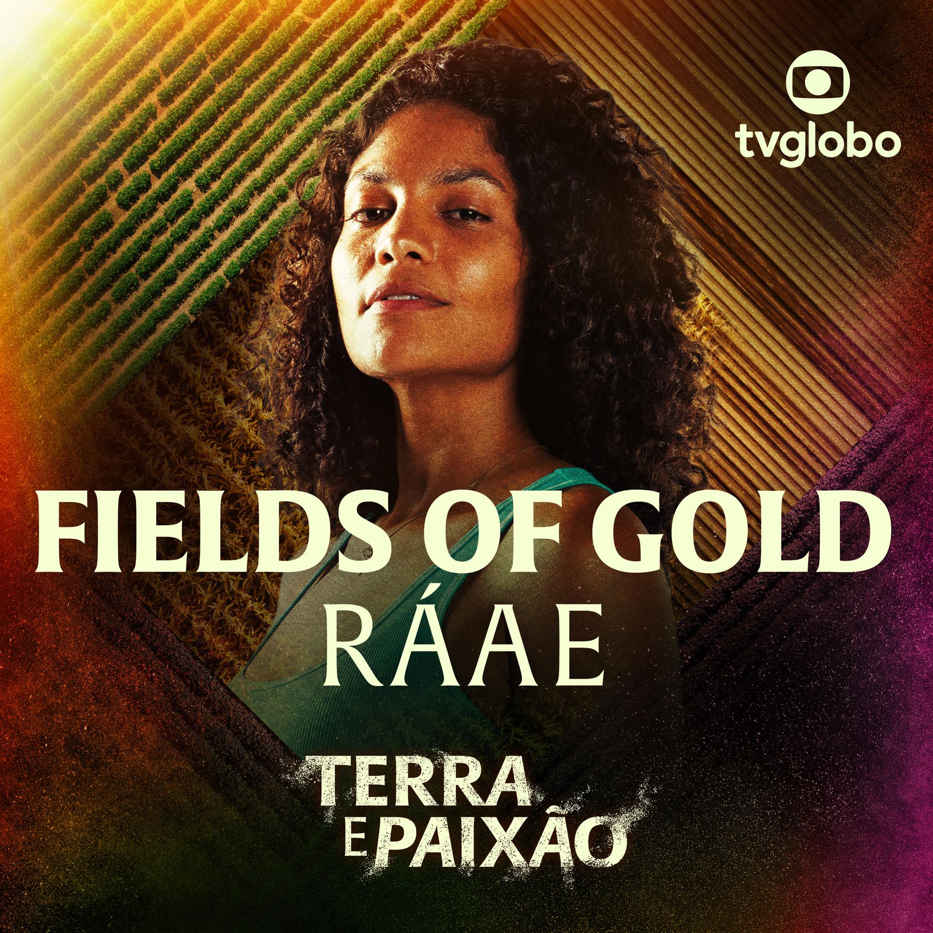 Постер альбома Fields Of Gold (Terra e Paixão)