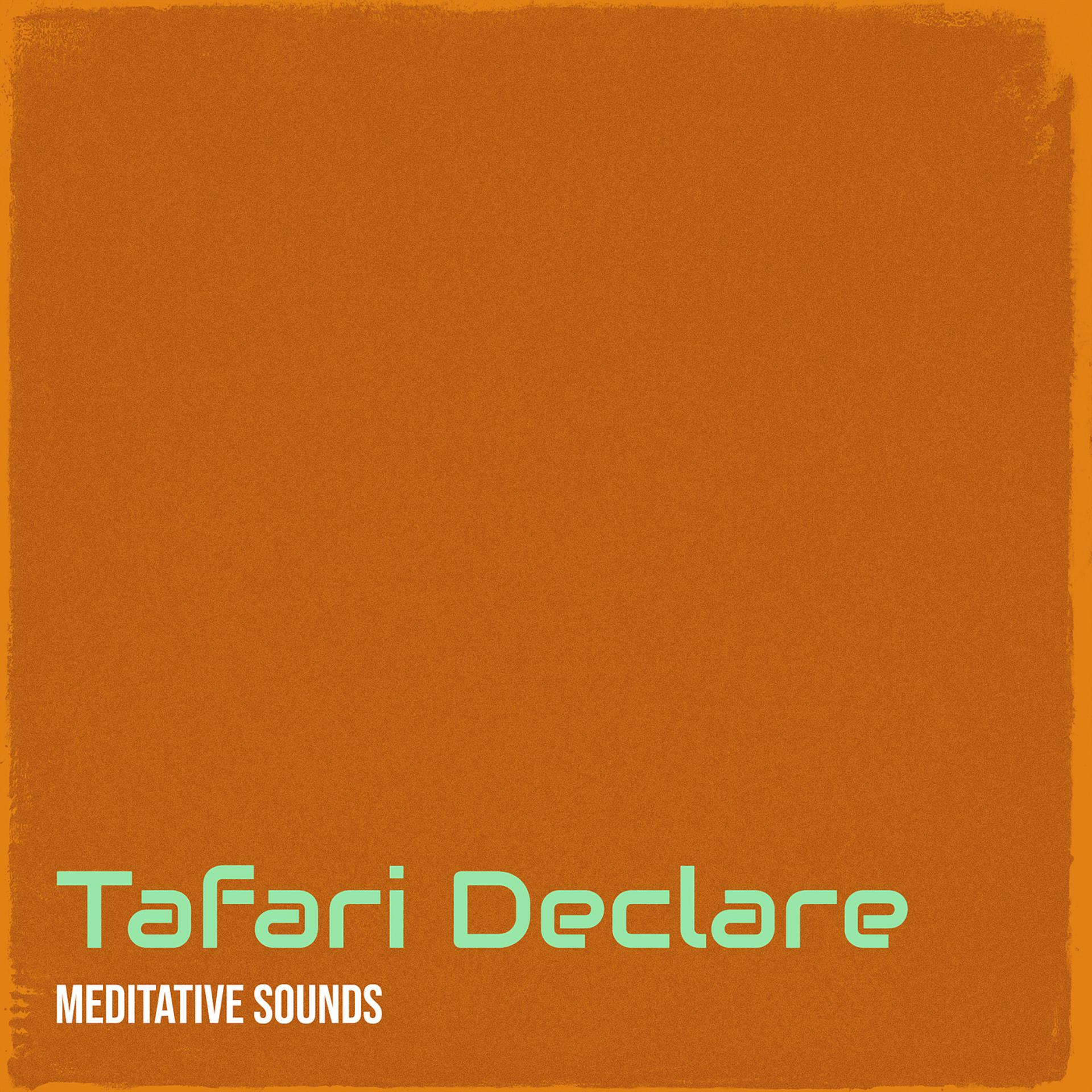 Постер альбома Tafari Declare