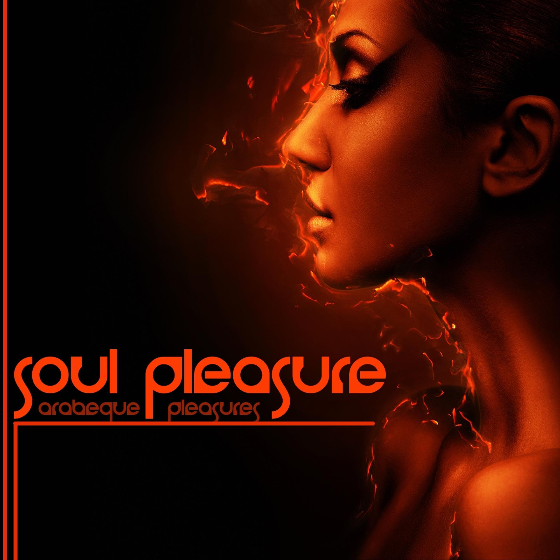 Постер альбома Soul Pleasure