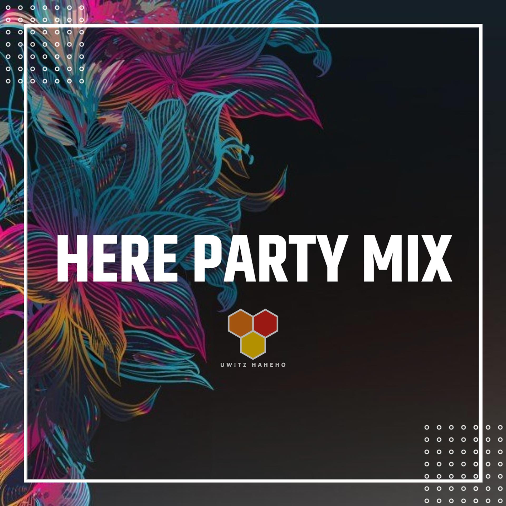 Постер альбома Dj Here Party Mix