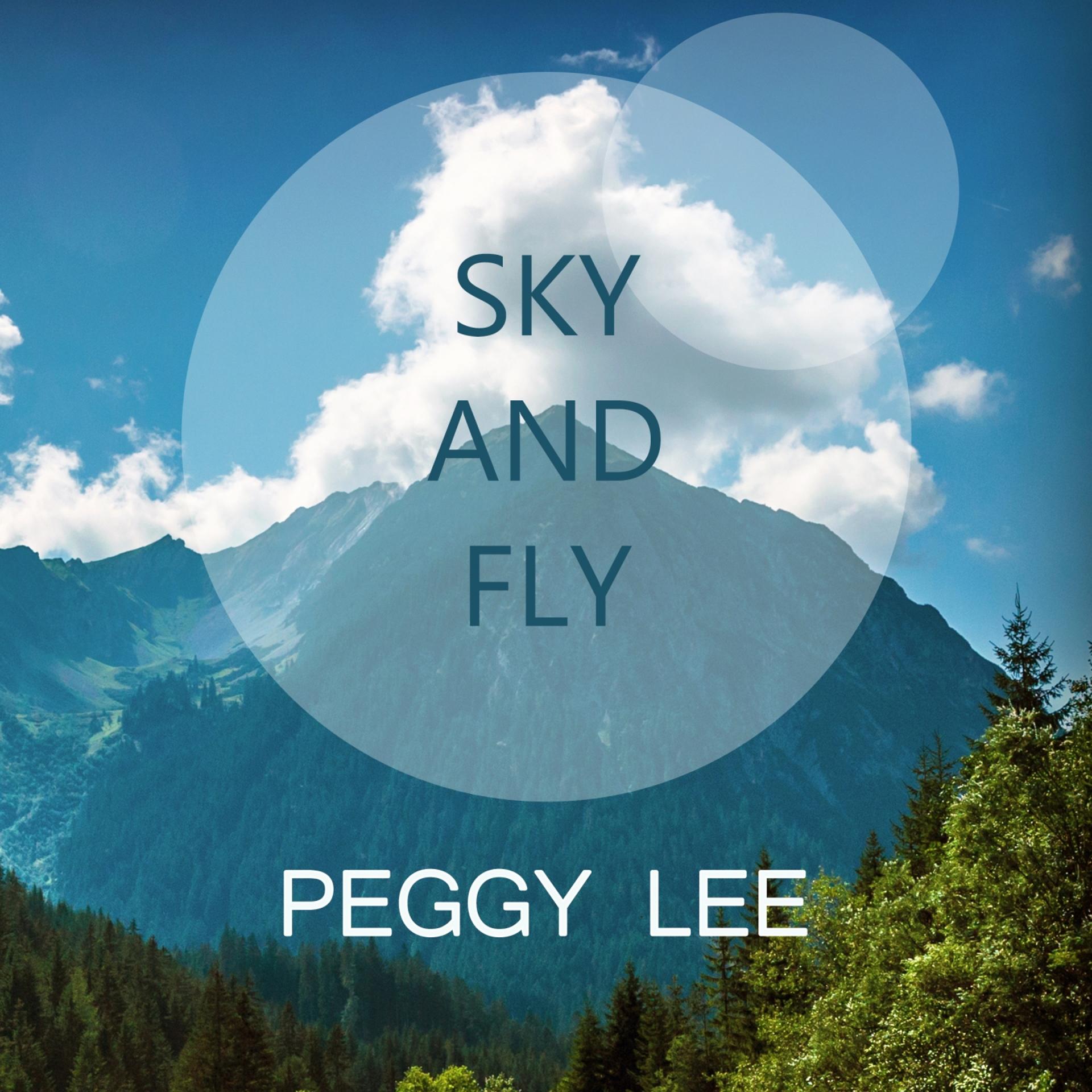 Постер альбома Sky And Fly