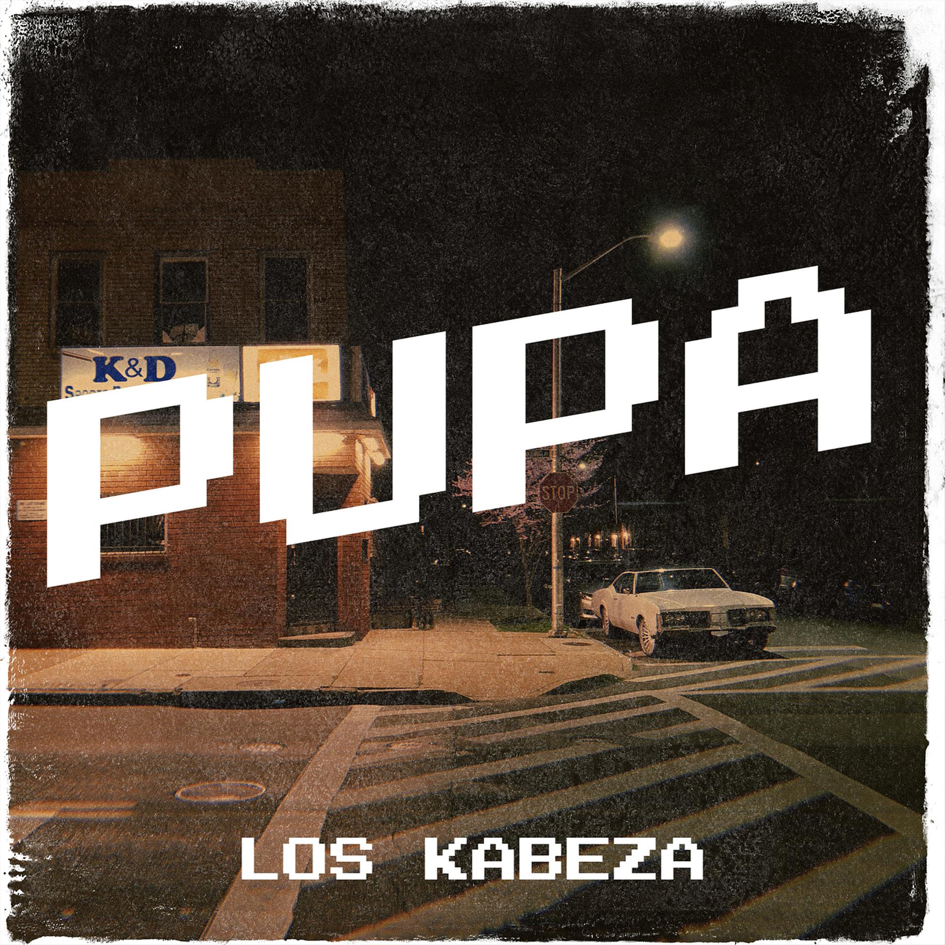 Постер альбома Pupa
