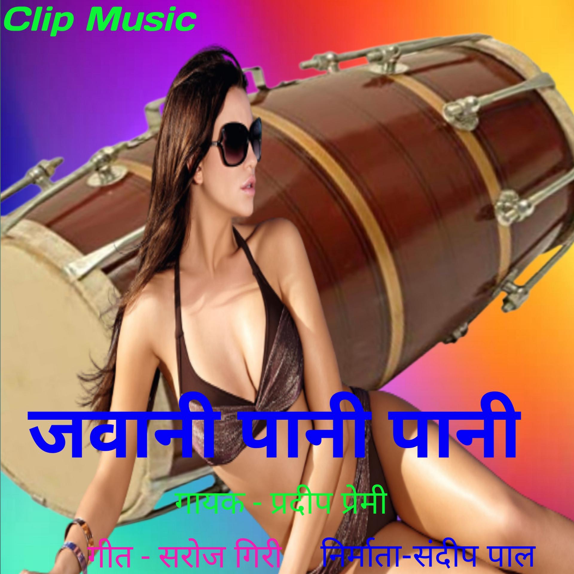 Постер альбома Jawani Pani Pani