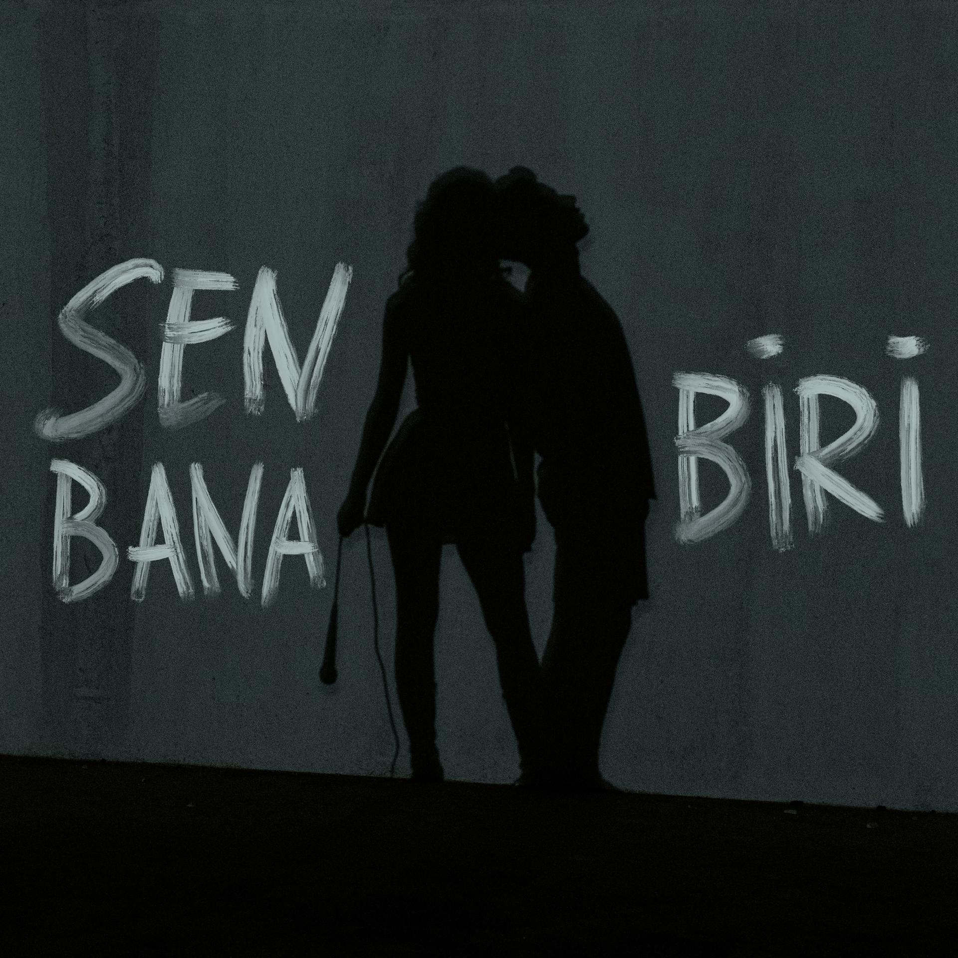 Постер альбома Sen Bana Biri