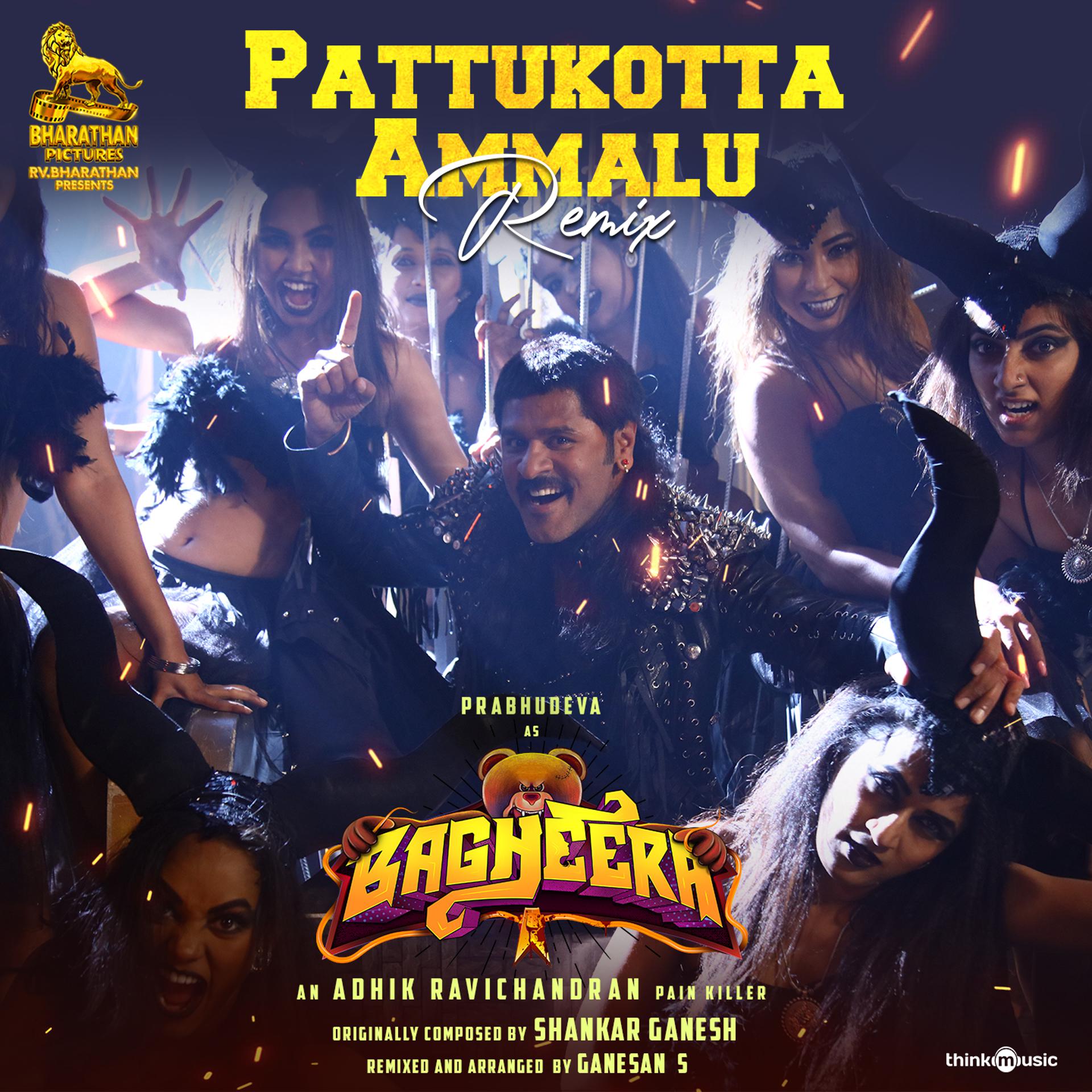 Постер альбома Pattukotta Ammalu