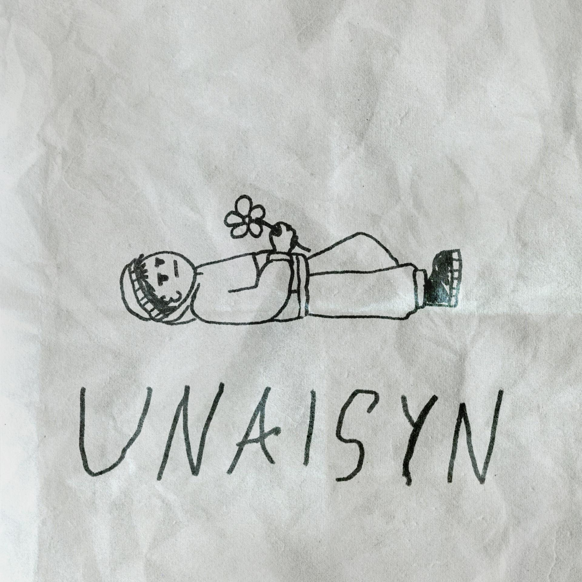 Постер альбома Unaisyn