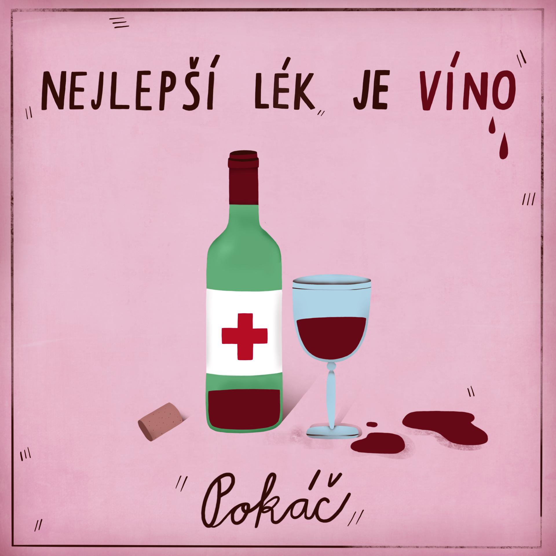 Постер альбома Nejlepší lék je víno