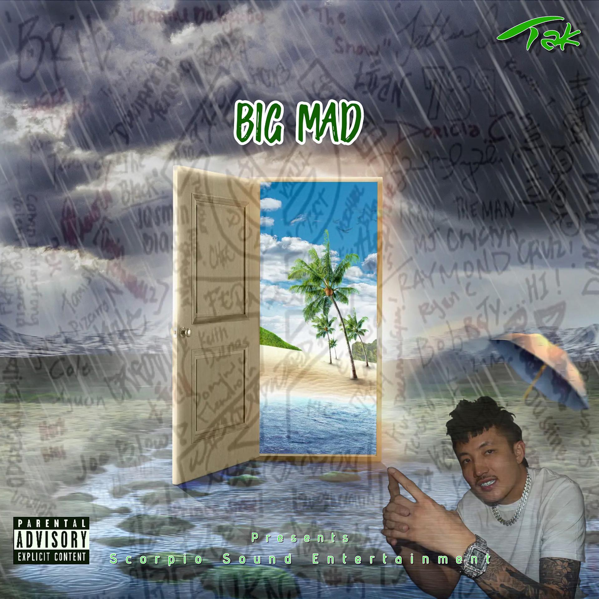 Постер альбома Big Mad