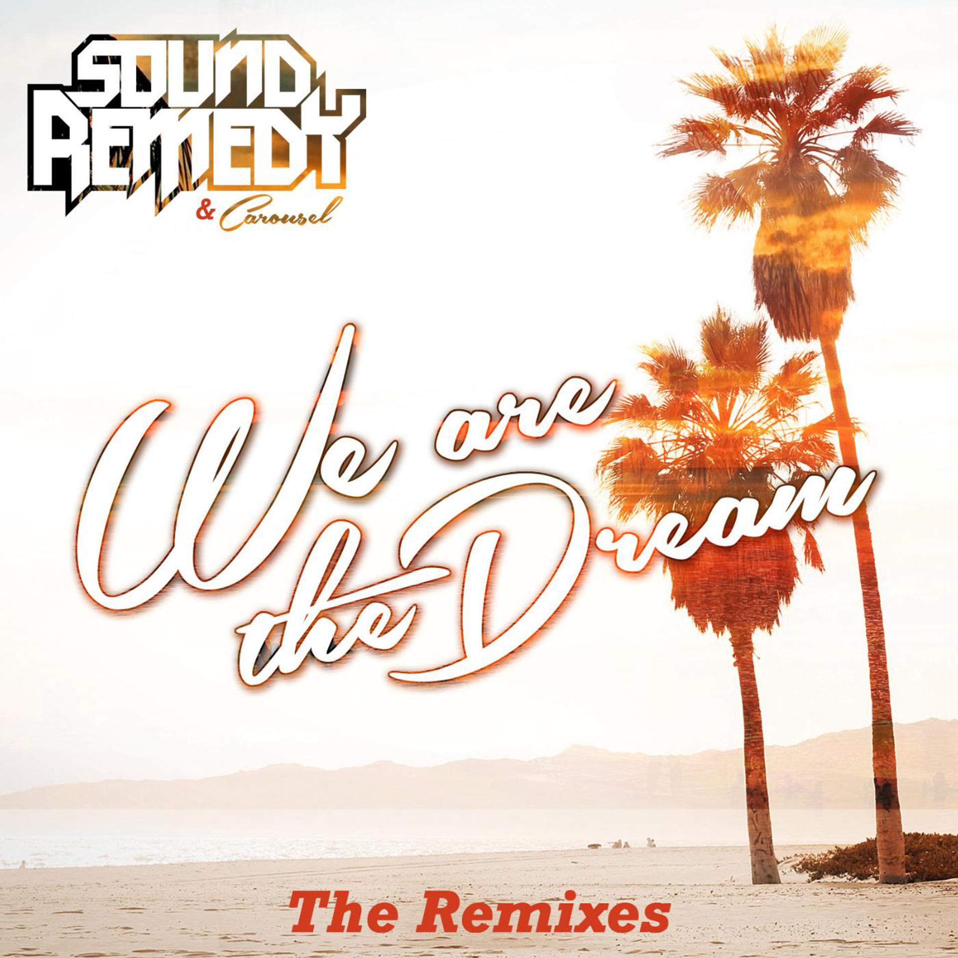 Постер альбома We Are the Dream the Remixes