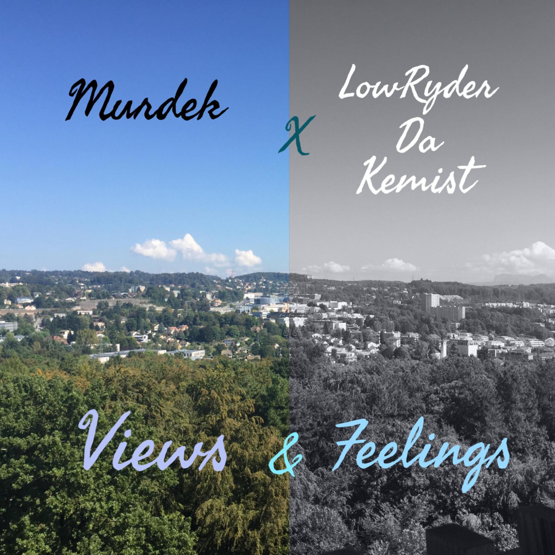 Постер альбома Views & Feelings